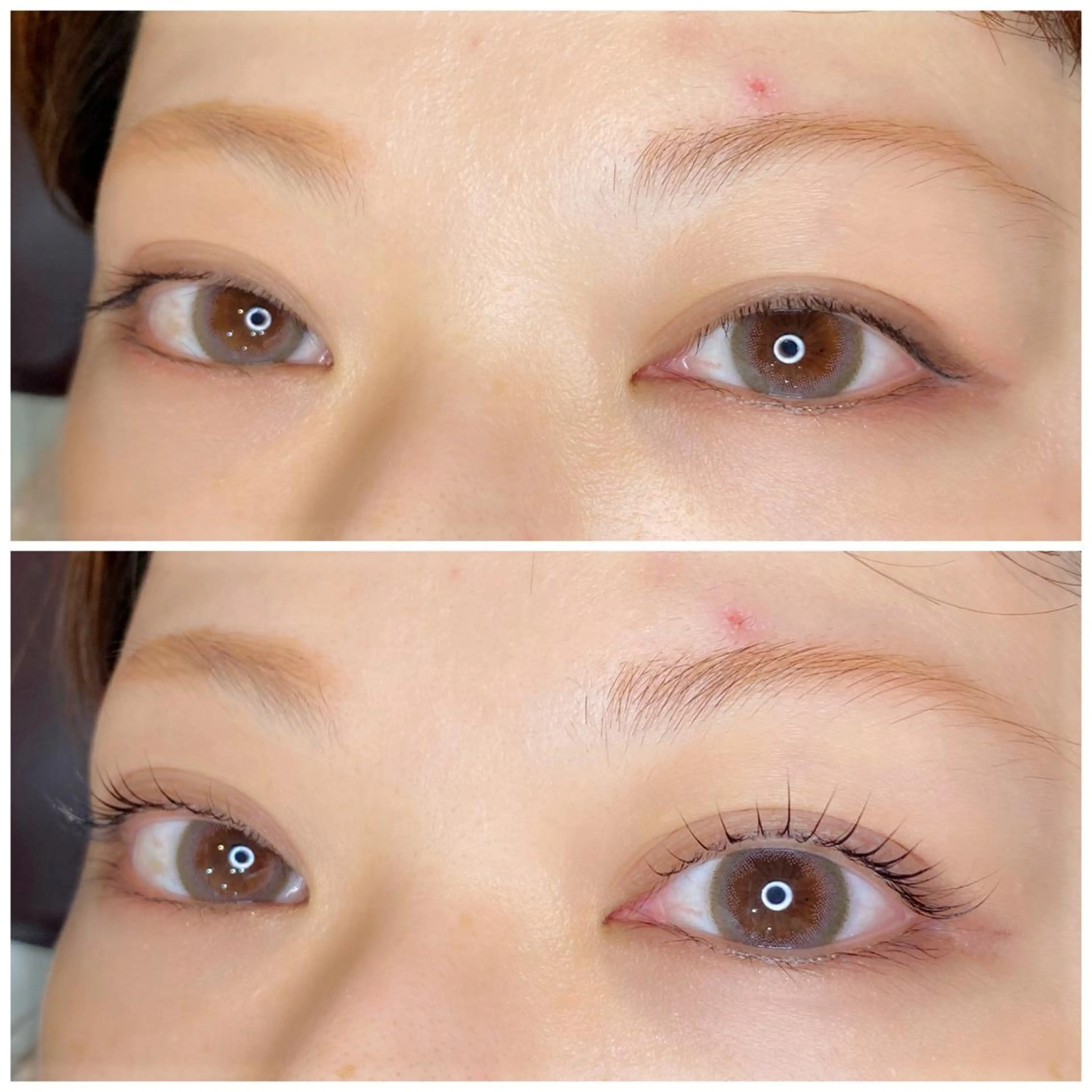 マツエク・マツパ アイブロウ 椿 優花のマツエク・マツパデザイン