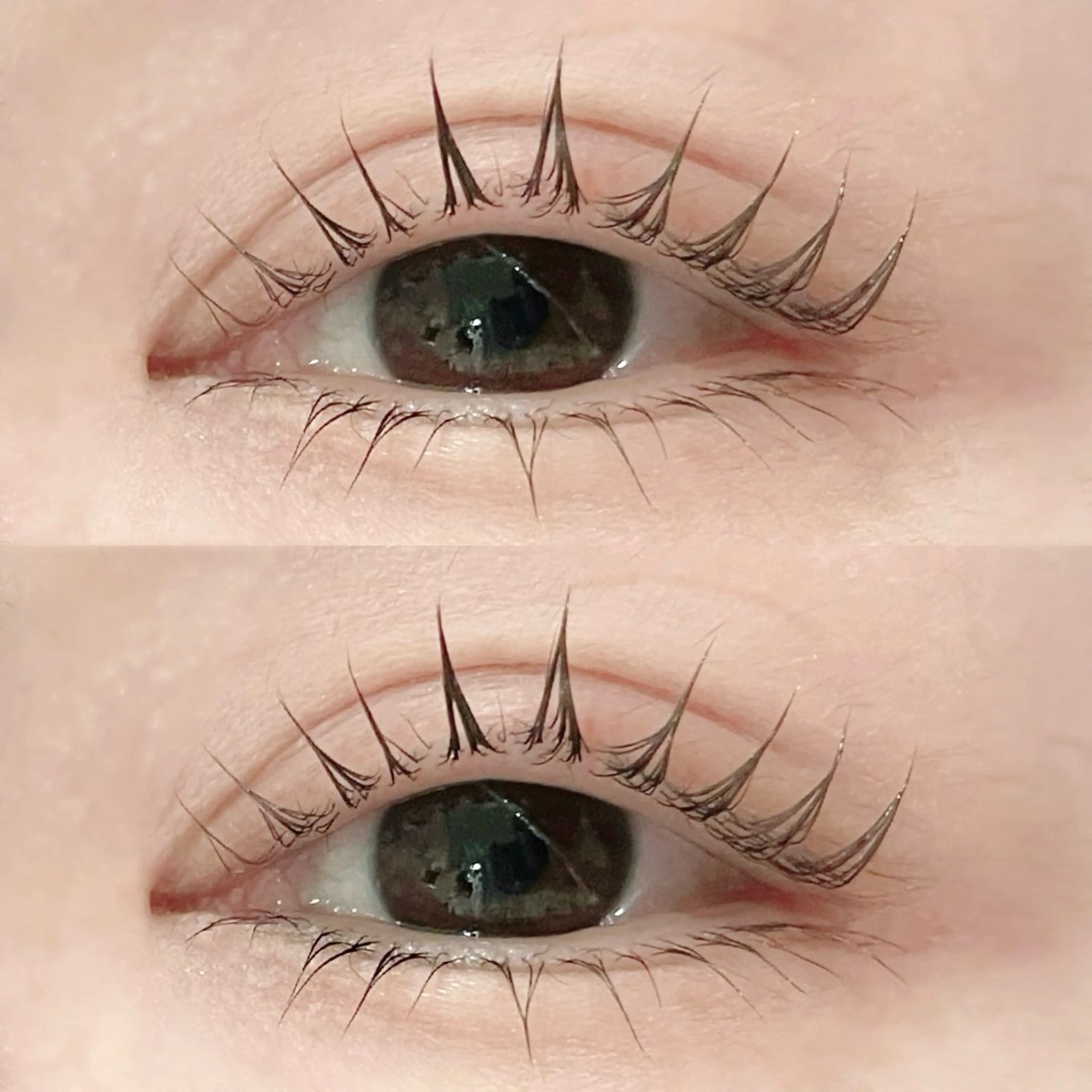 マツエク・マツパ マツパ riche eye_ aya🪞のマツエク・マツパデザイン