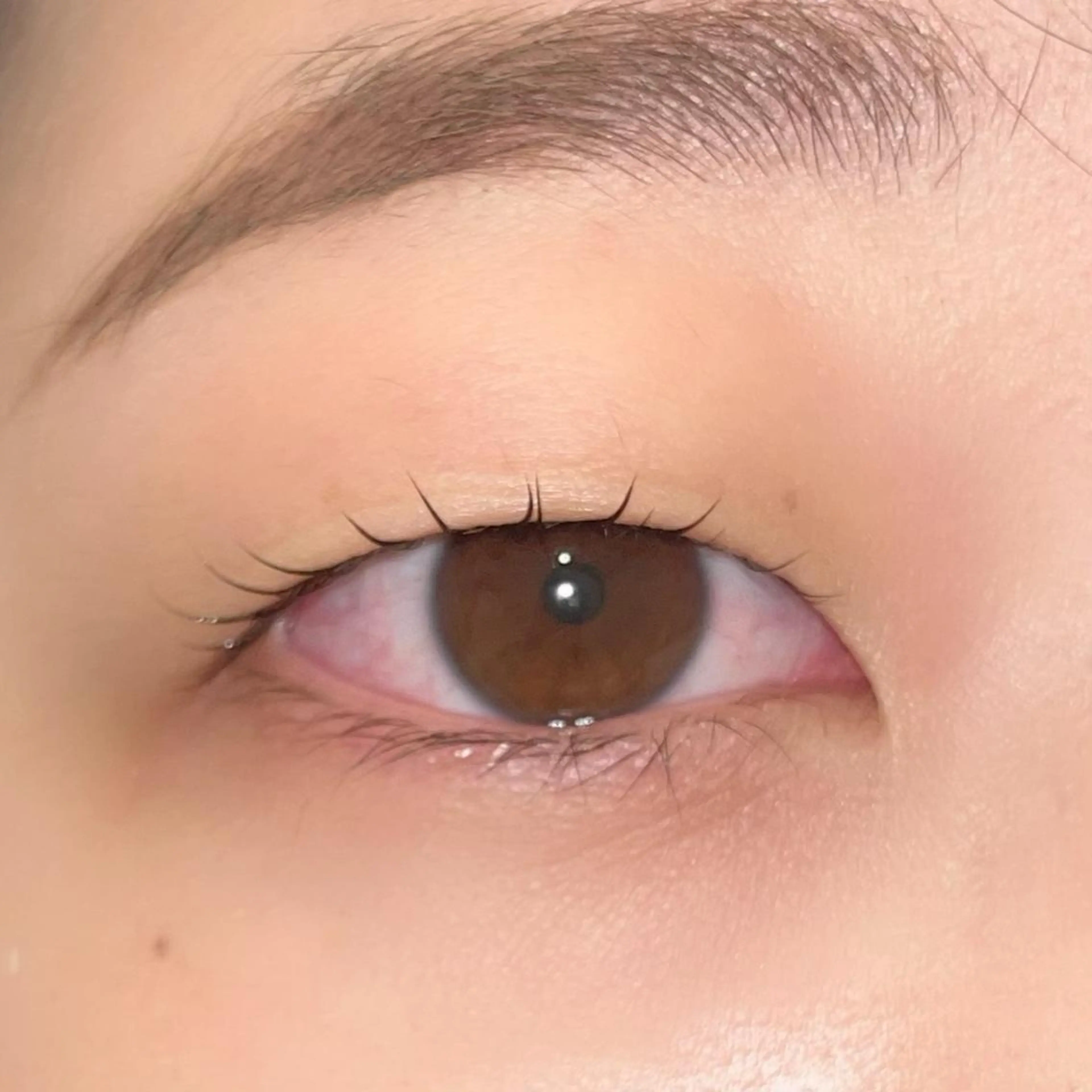 マツエク・マツパ パリジェンヌラッシュリフト まつげパーマ ai一重専門🎀束感 まつげ🫧表参道のマツエク・マツパデザイン