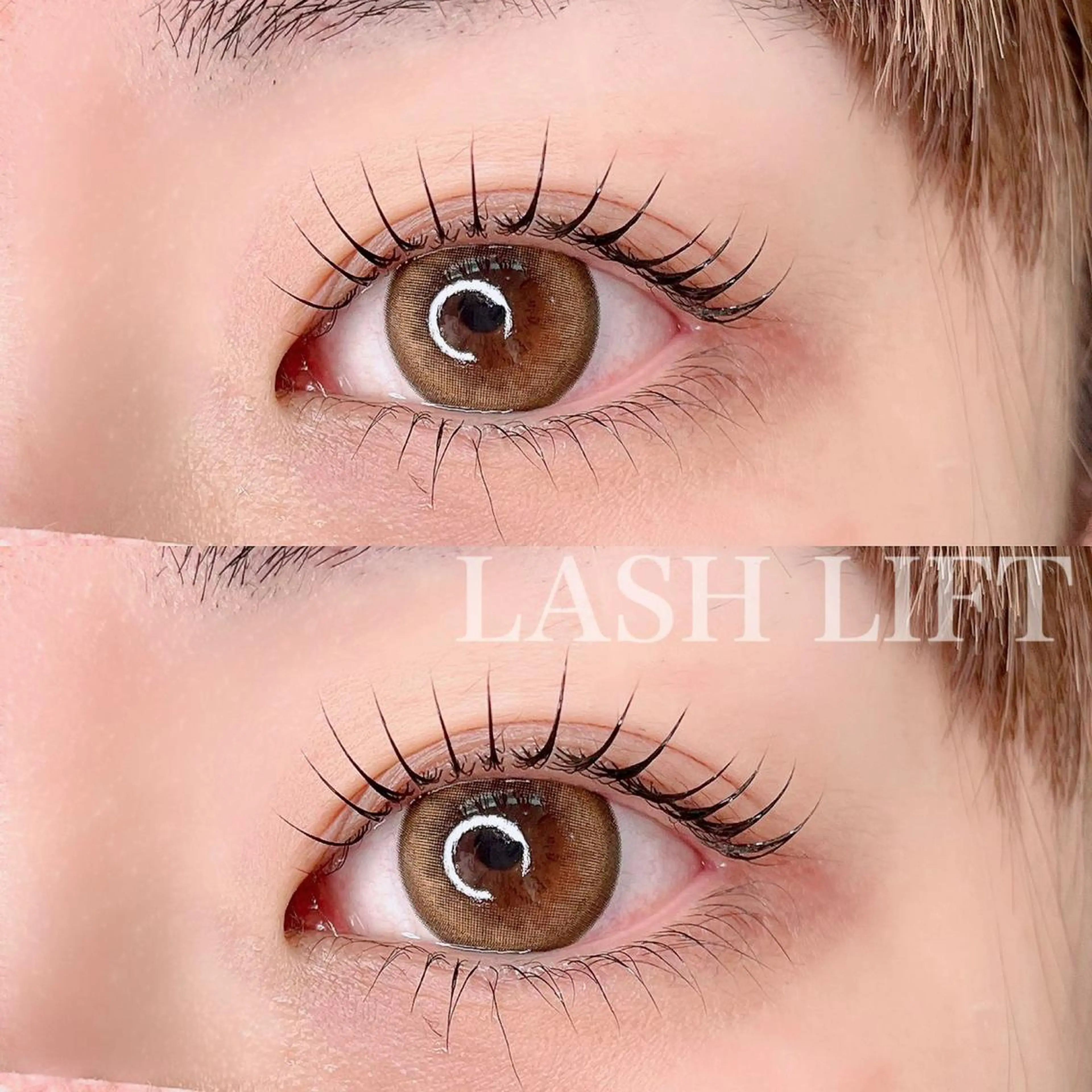 12月限定!!【人気No.1】パリジェンヌラッシュリフトorラッシュリフト(まつげパーマ)¥4400の写真