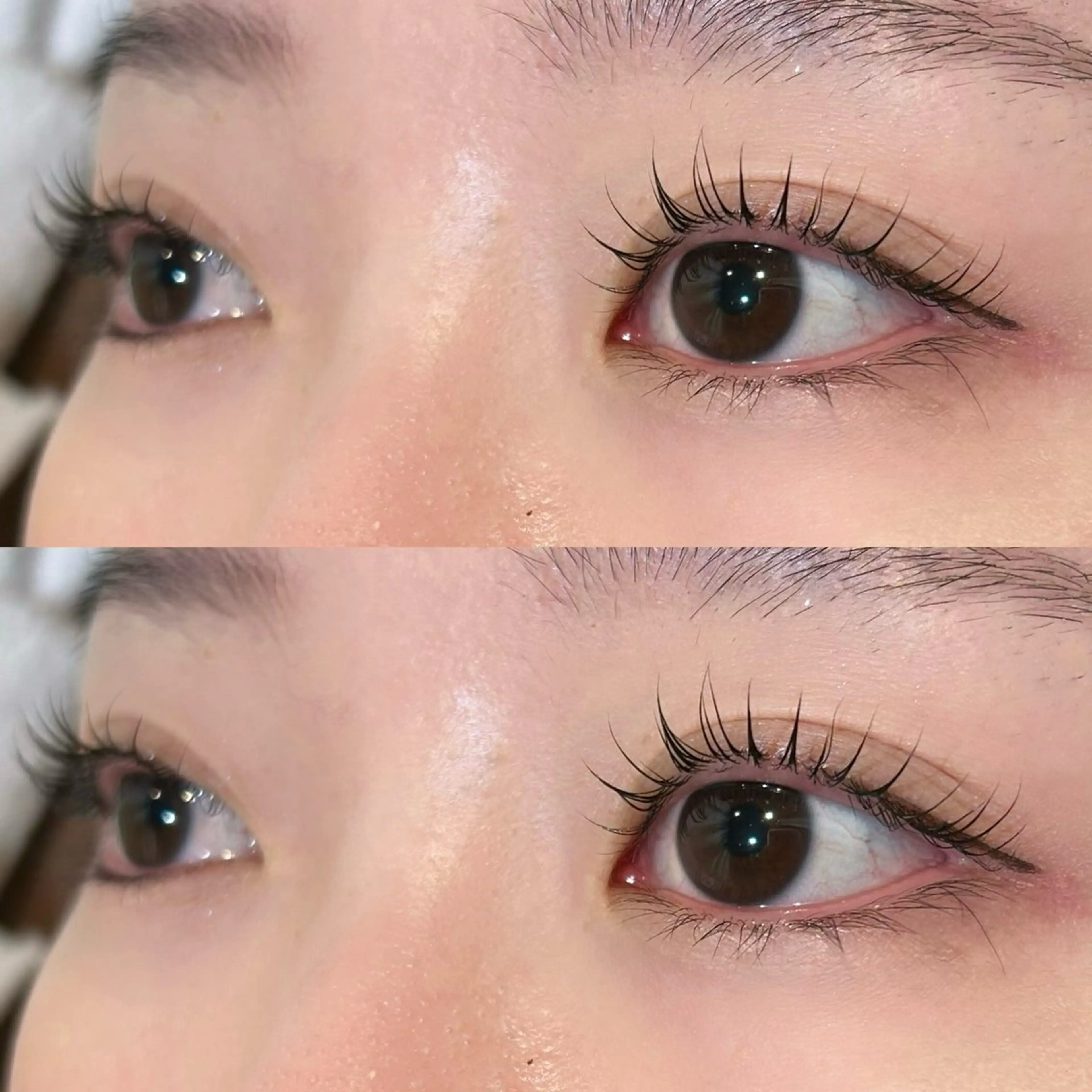 【上下マツパ👀✨】デカ目効果🫧韓国風/束感コーティング仕上げ💞の写真