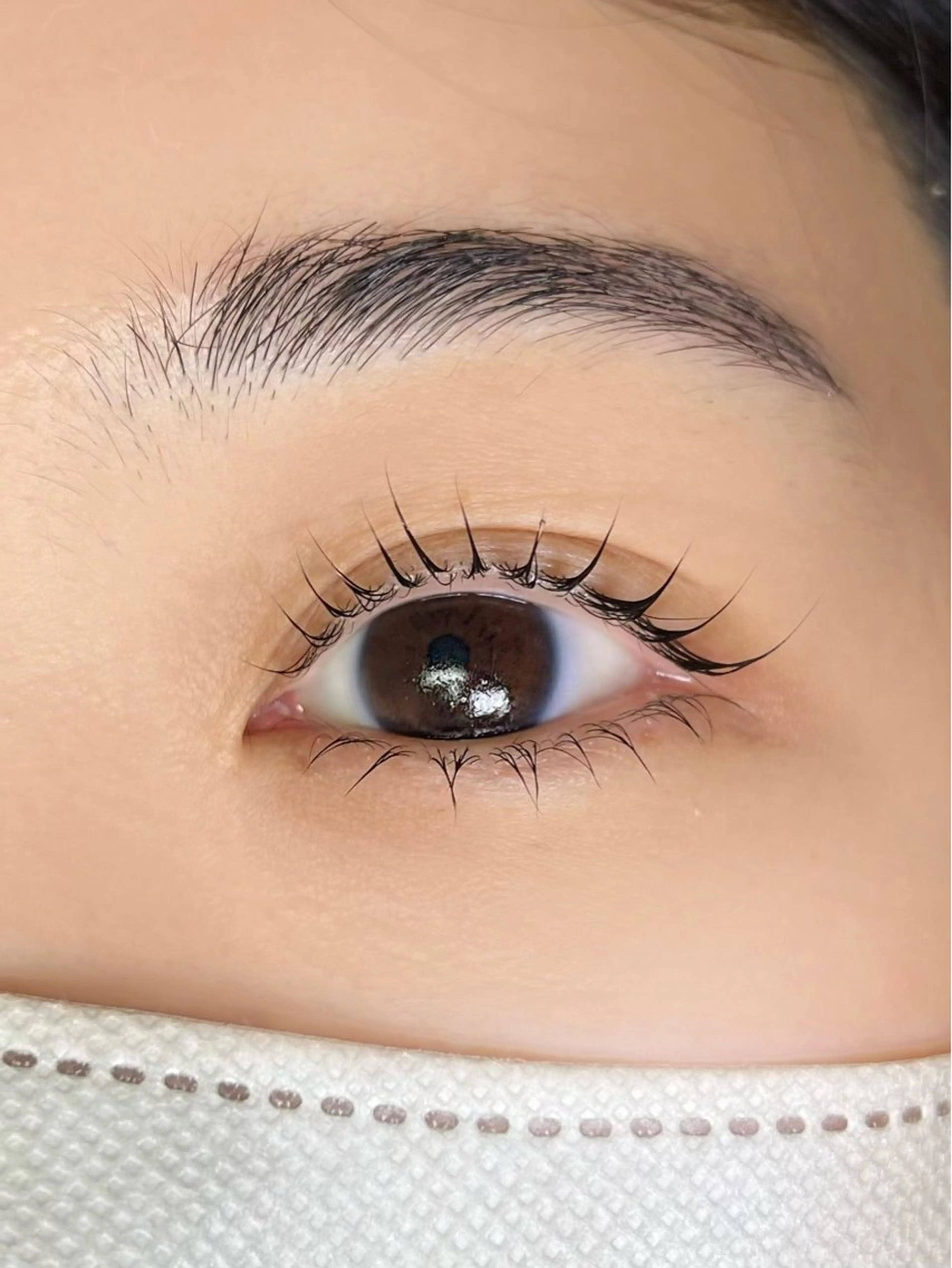 🌿まつ毛パーマ上下🌿＋✨wトリートメント✨（アイシャンプーは別途¥500）の写真