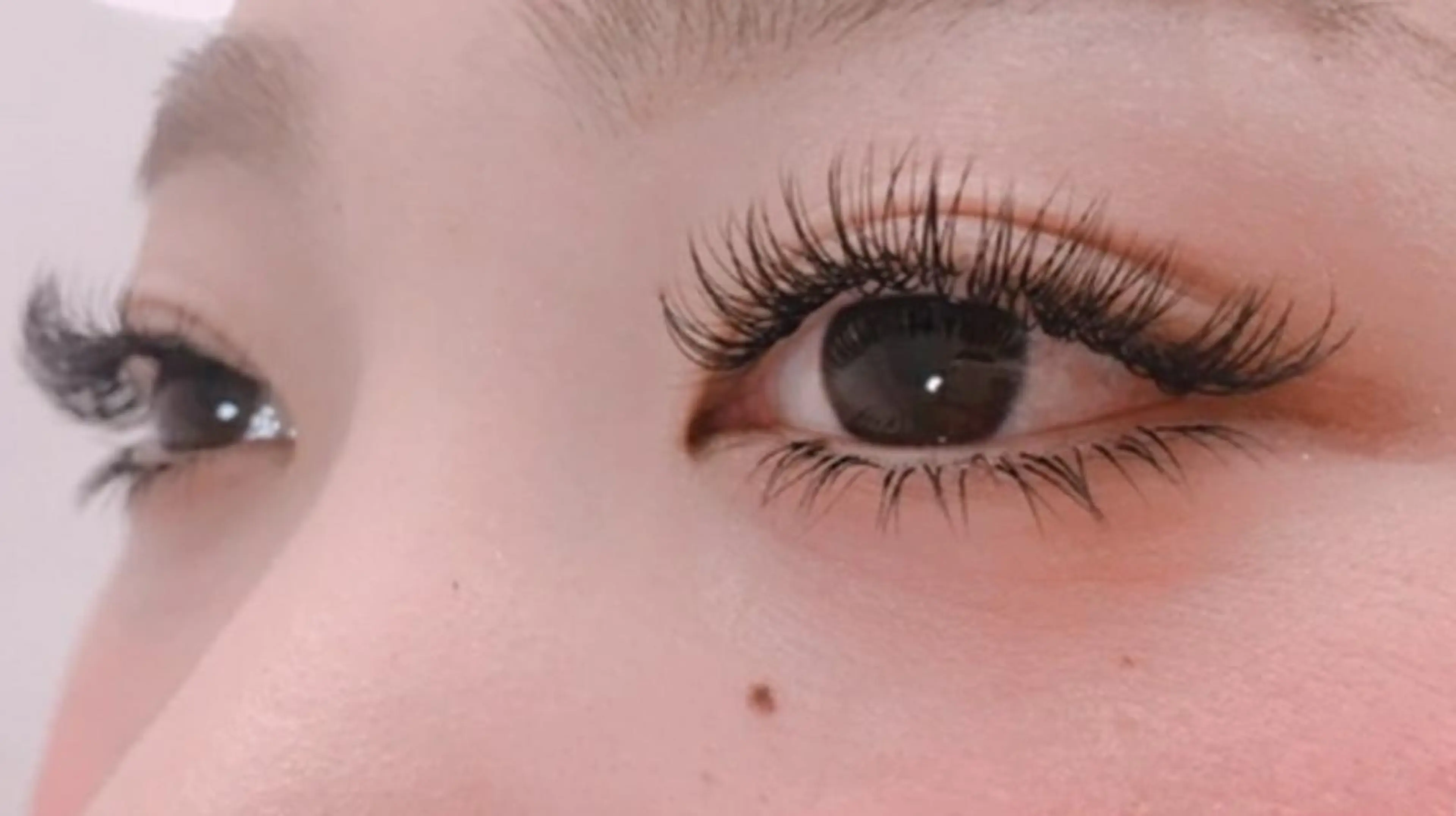 ♥大人気♥🕊フラットラッシュエクステ【付け放題】本数制限なし♡コーティング仕上げ込み✨ボリュームが欲しい方はぜひ♡の写真