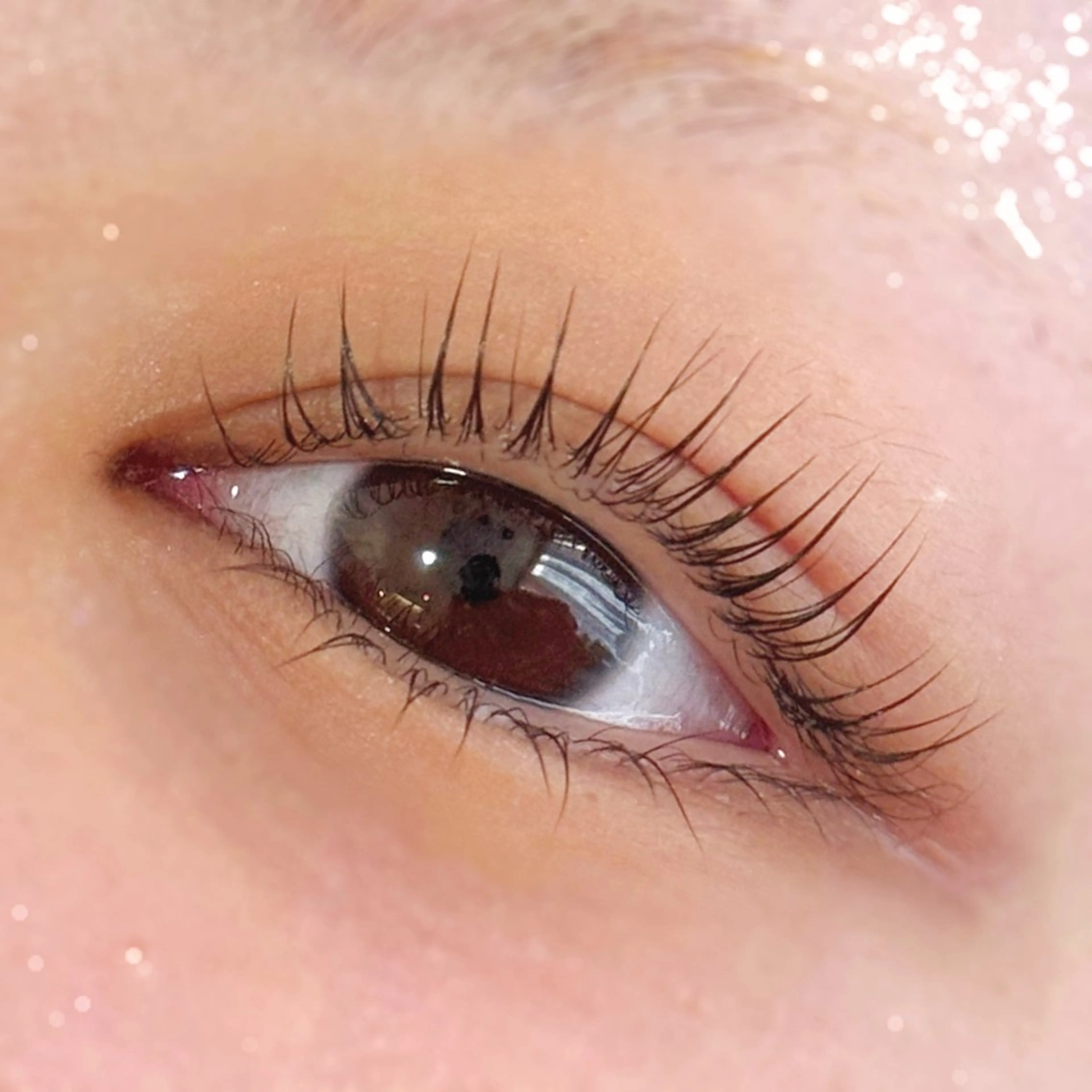 上下まつ毛パーマ👀の写真