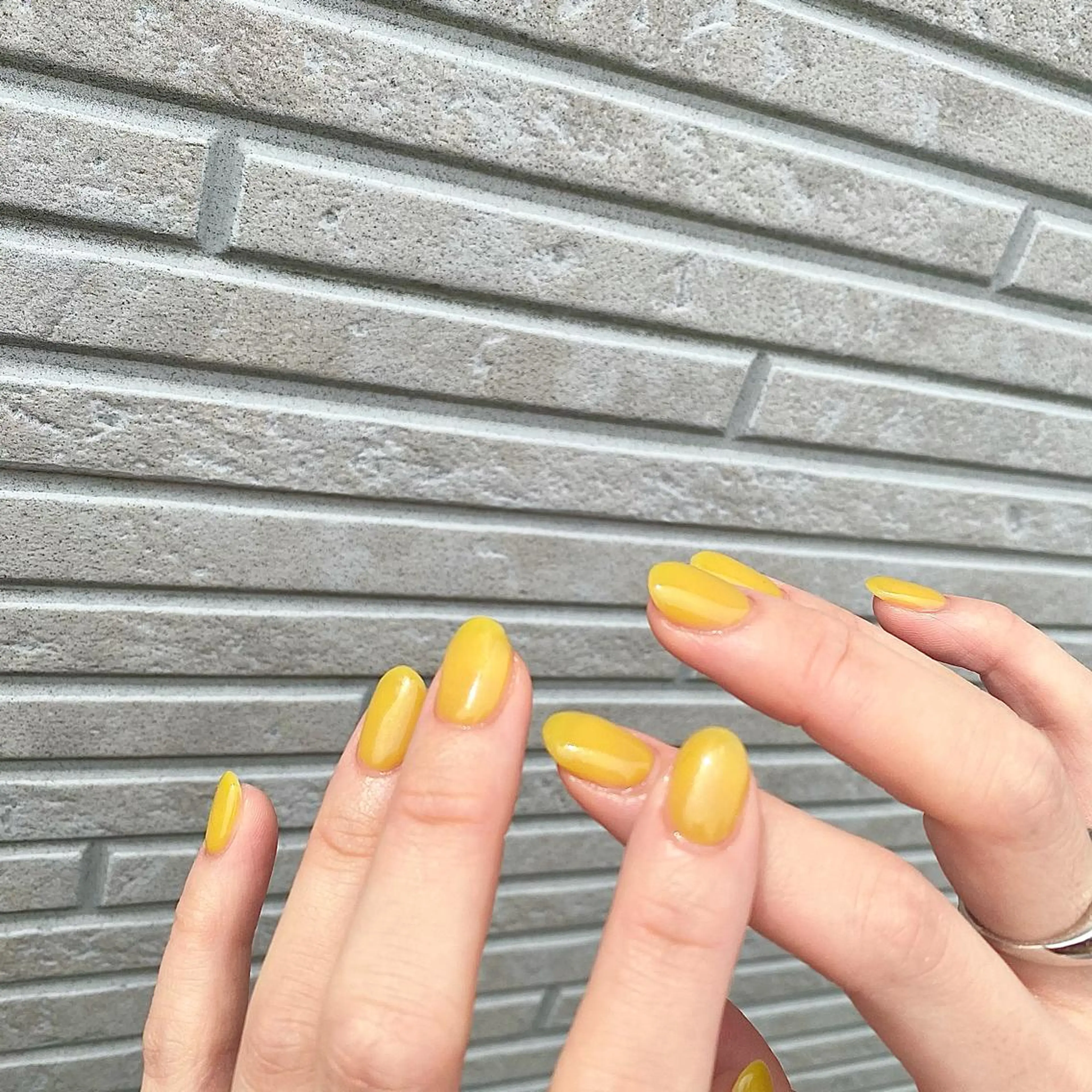 ネイル ワンカラーネイル C. 👑itoのマツエク・マツパデザイン