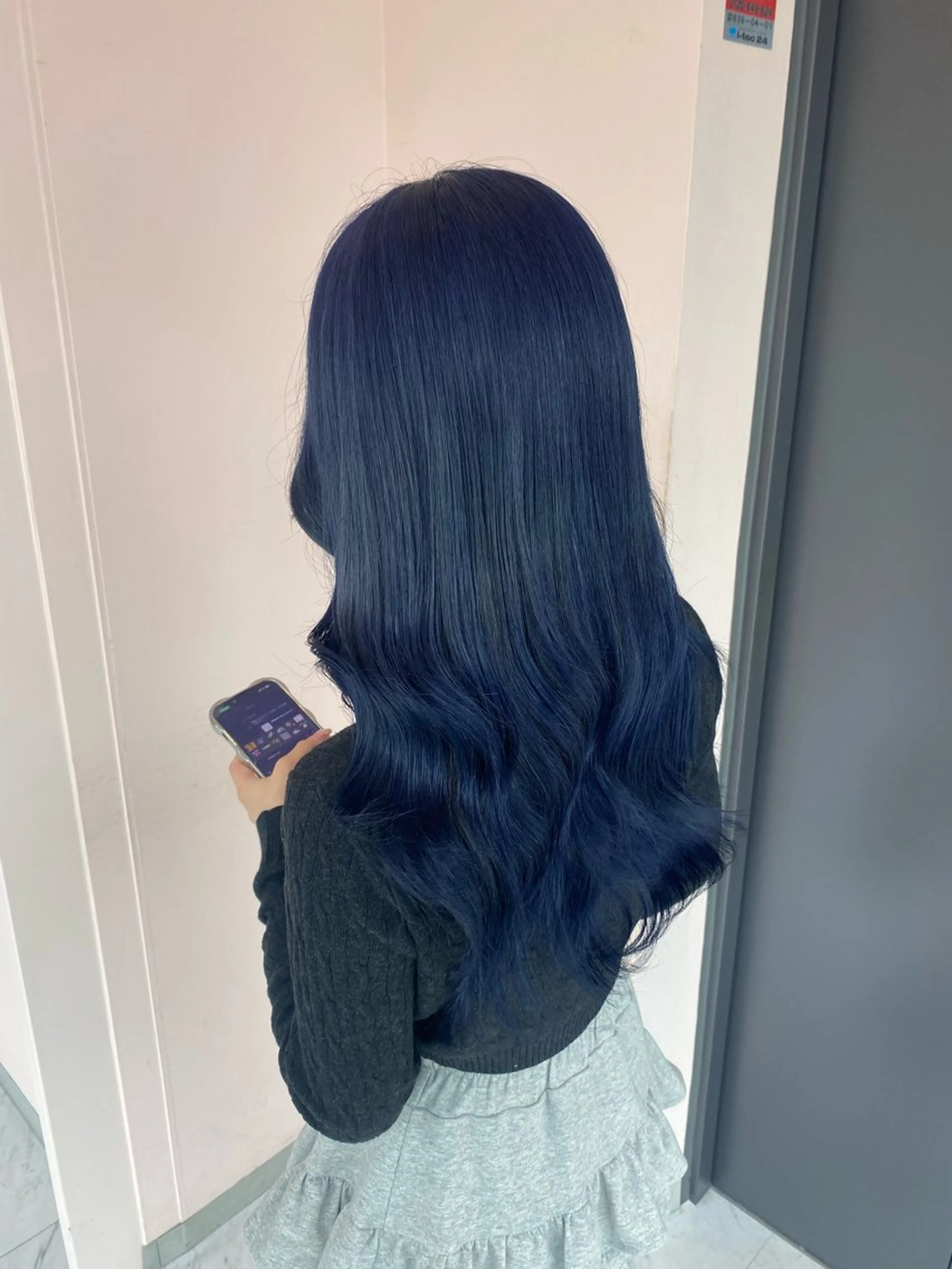 カラー ブリーチ ブルーカラー ネイビーカラー 楓🦋韓国系レイヤー / 透明感カラー🤍のヘアスタイル