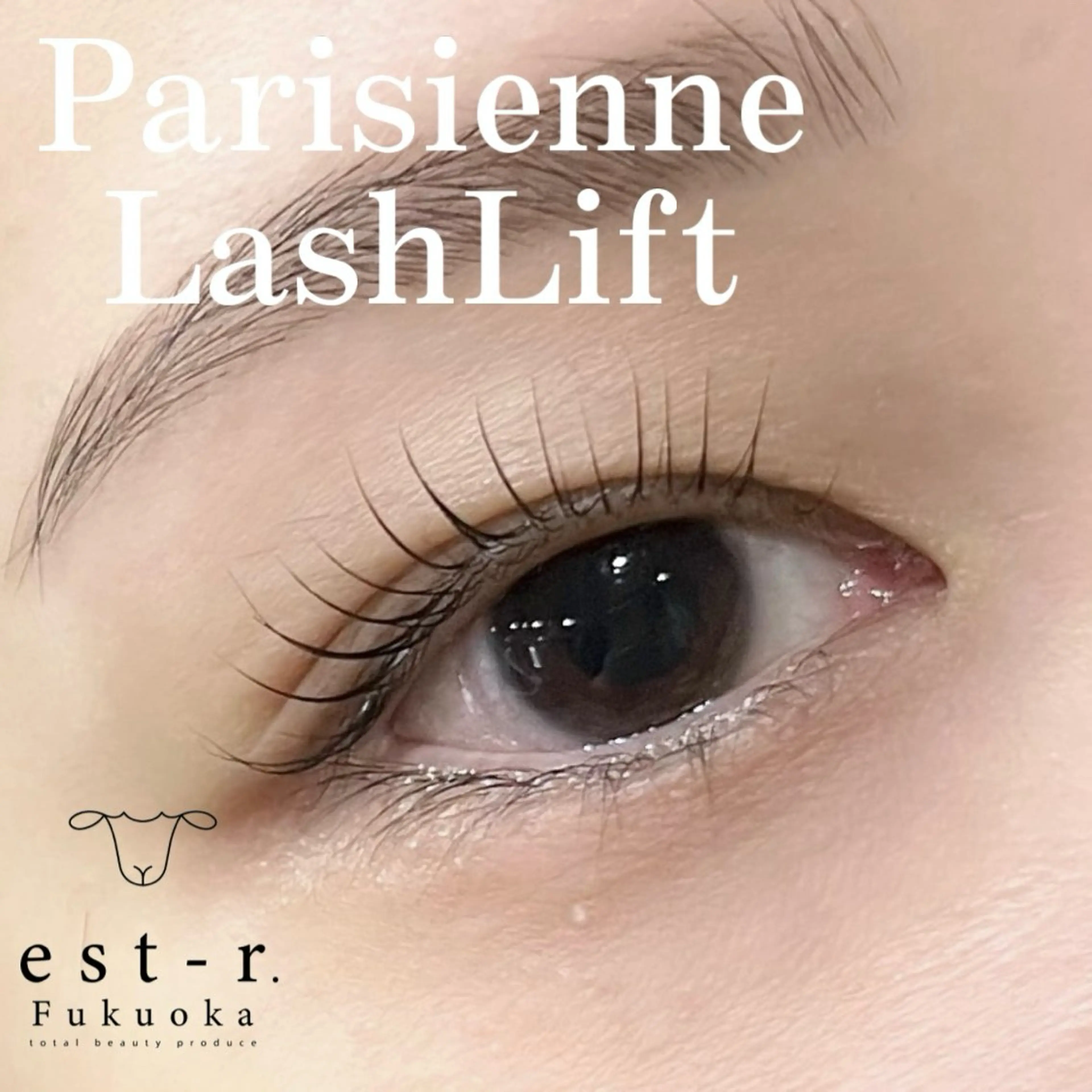 マツエク・マツパ 束感まつ毛 韓国風マツエク パリジェンヌラッシュリフト 一重×まつ毛パーマ ワンホンマツエク マツパ Riho/博多/ まつげパーマ/LEDのマツエク・マツパデザイン