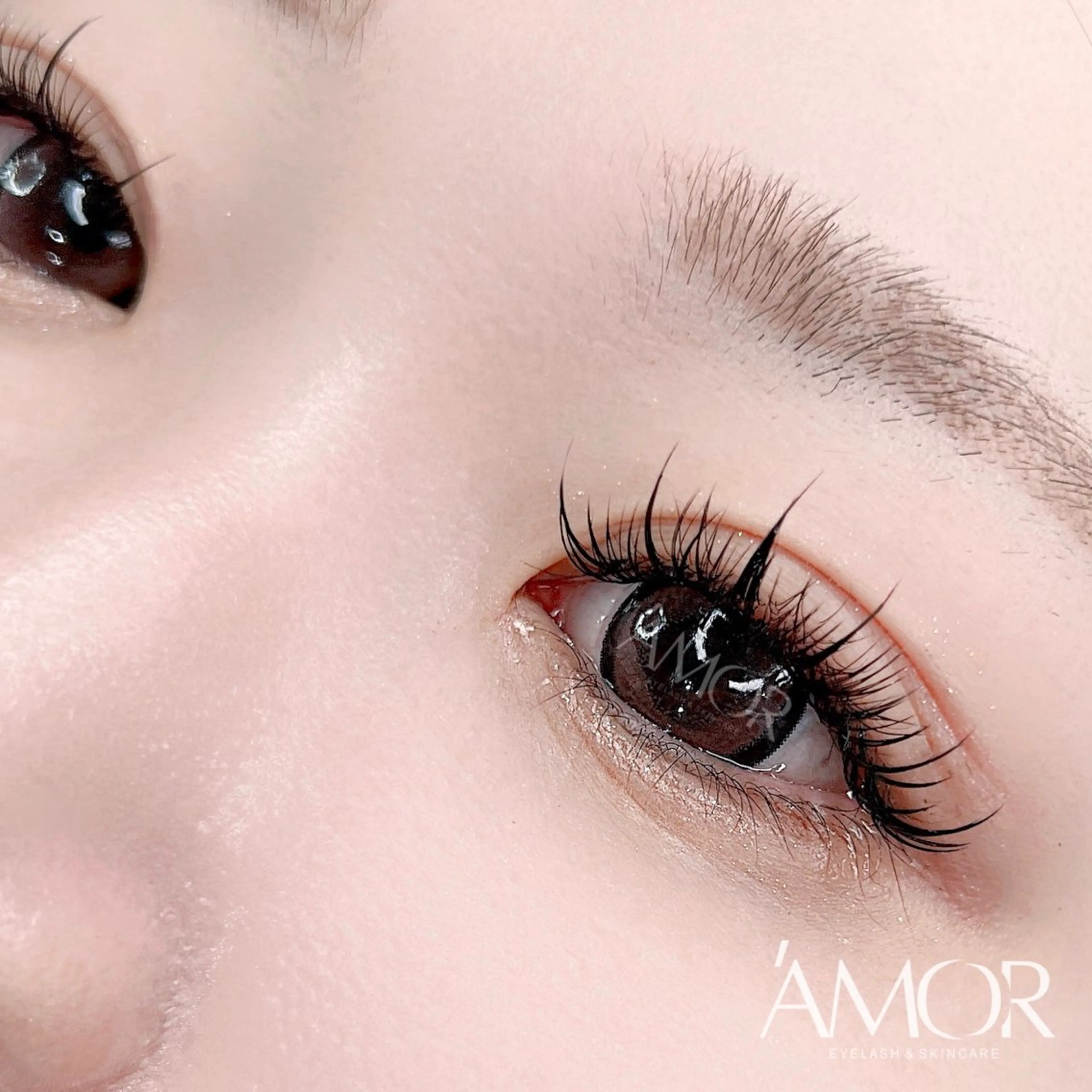 マツエク・マツパ Amor所属・AMOR EYELASHのマツエク・マツパデザイン