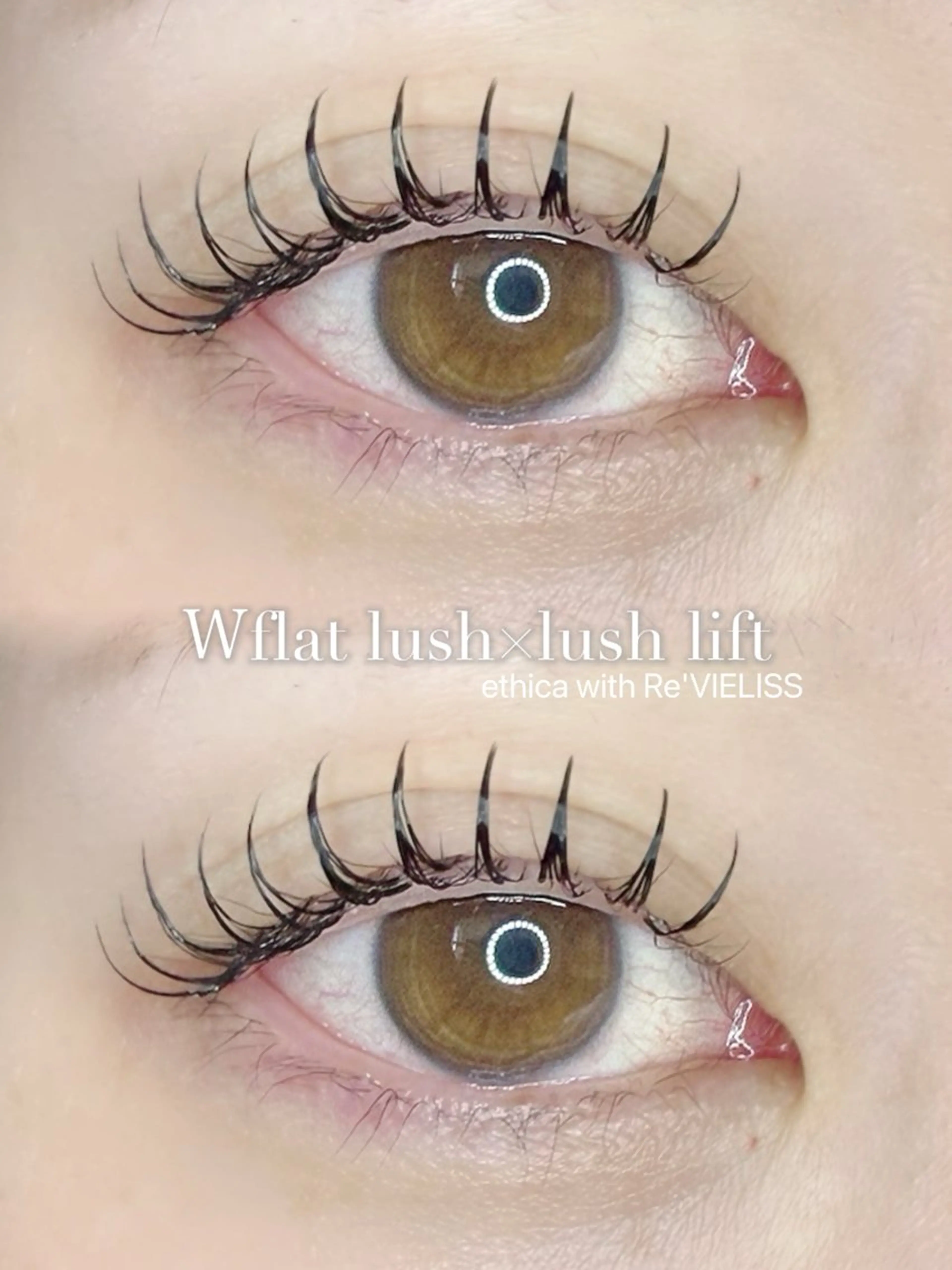 ❤️‍🔥本日限定❤️‍🔥ダブルフラットラッシュ60束(120本) ¥6000の写真