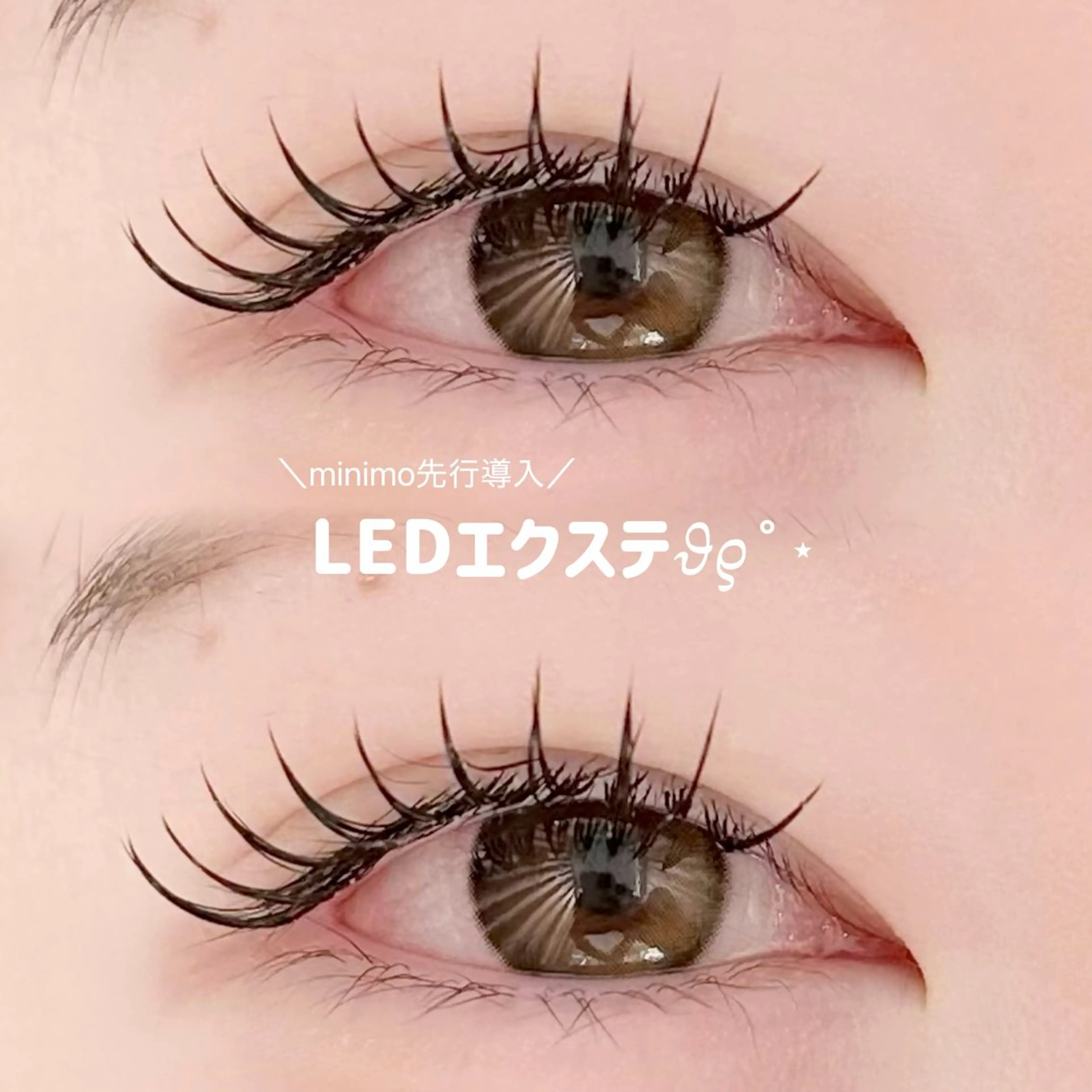 【 本日まで!! 】 LEDエクステ先行導入100本+コーティングの写真