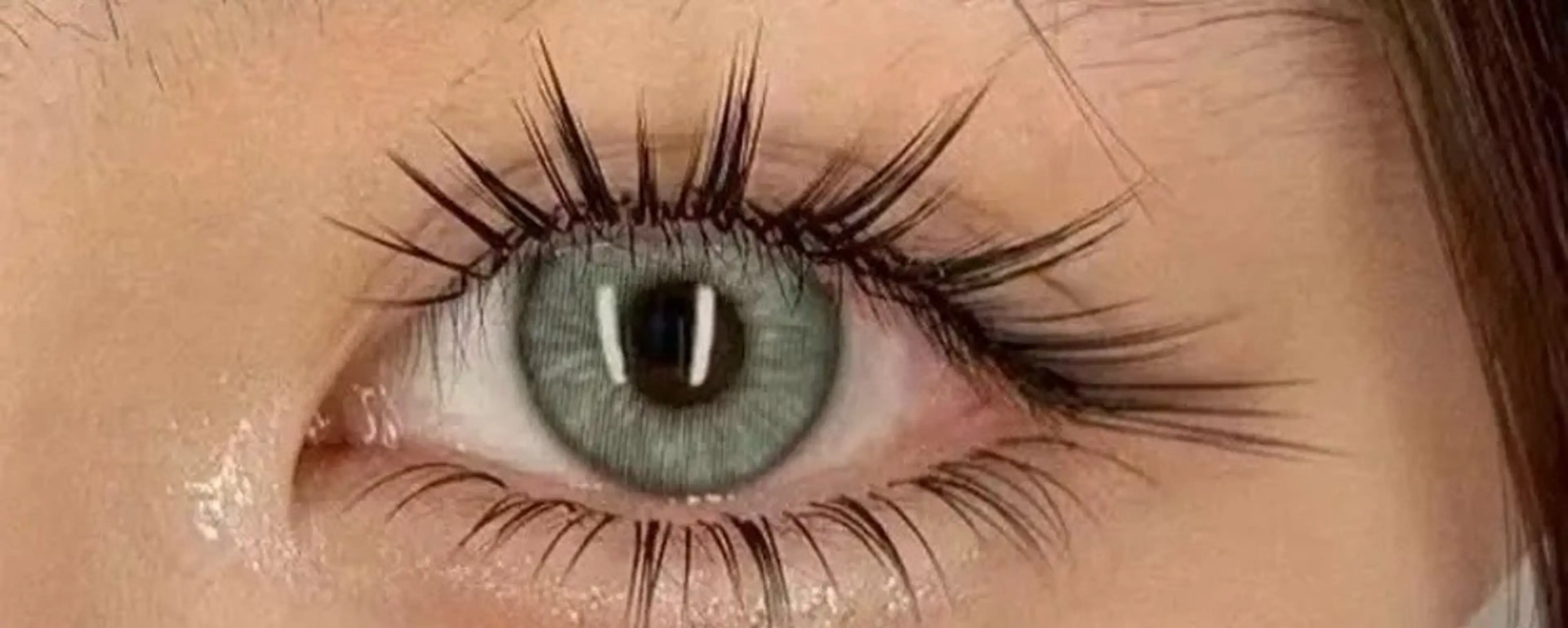 🦊新メニューキャンペーン中、Lカールワンフンデザイン、ブリリアントスタイプ🦊 下まつげプラス2000【月火金土コースの写真