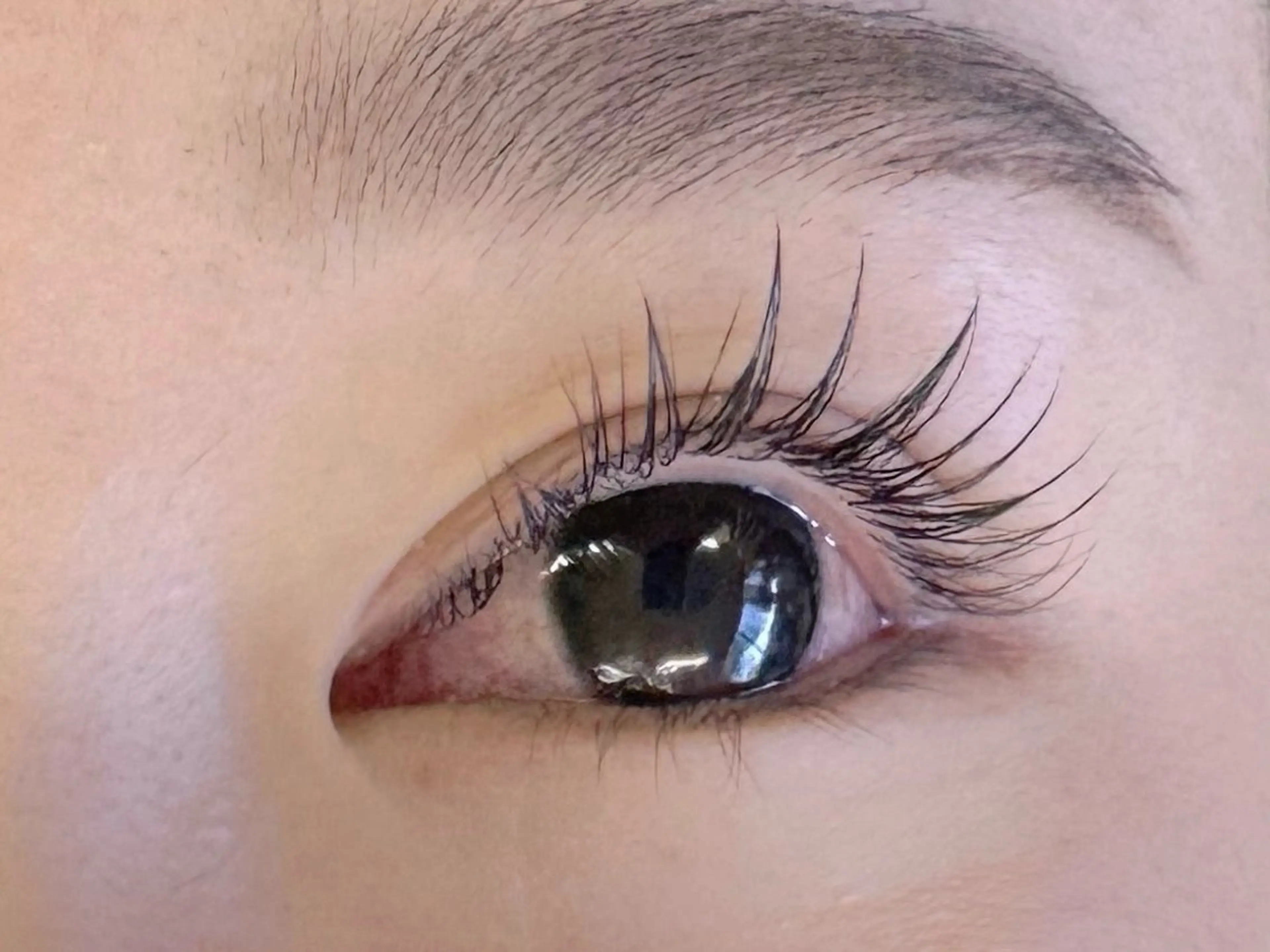 マツエク・マツパ ate eyelash 和泉府中店【まつげパーマ/ラッシ ユリフト/LED/東感バインド/眉毛】所属・もり まゆみのマツエク・マツパデザイン