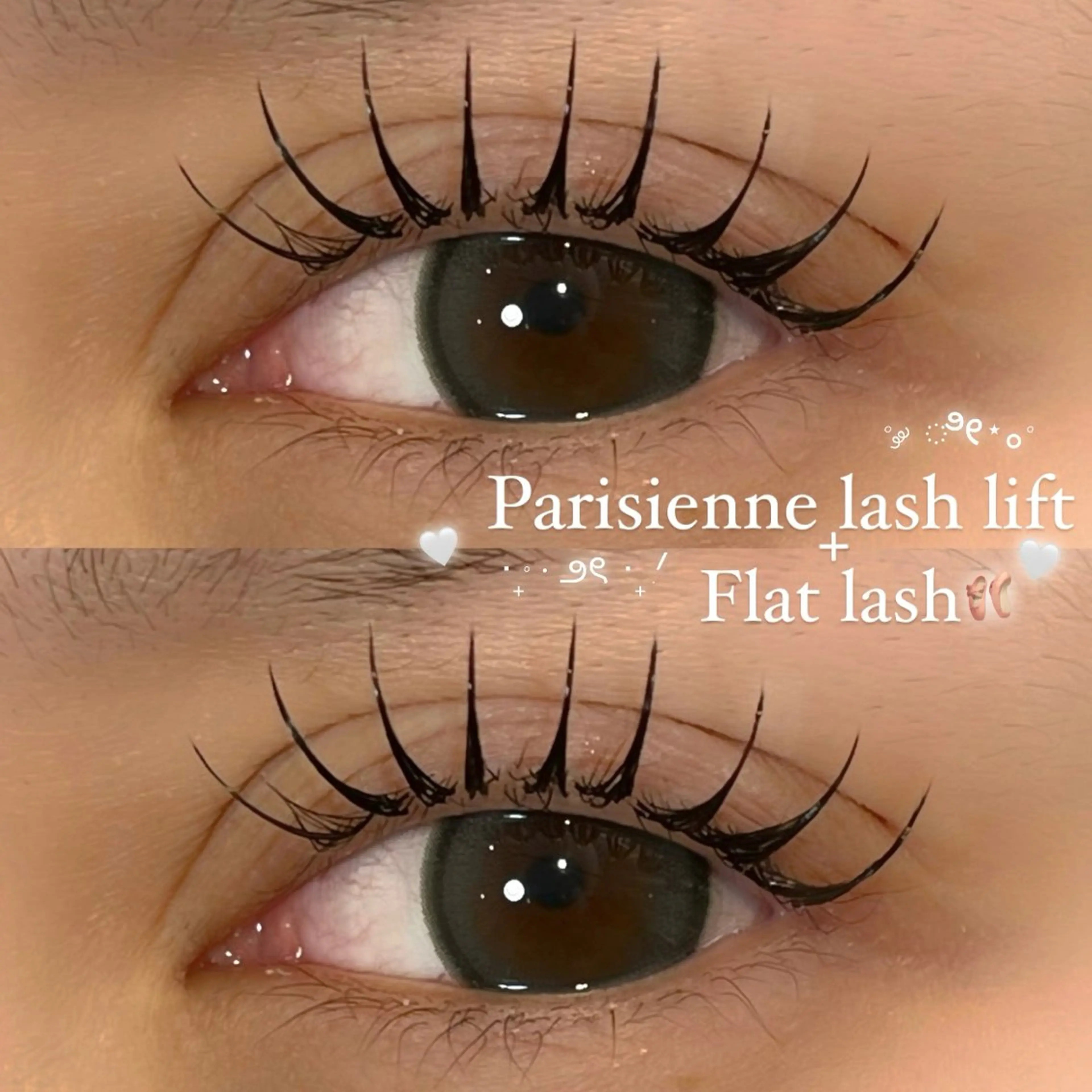 《パリエク˚✧フラットラッシュ100本🪄》コーティング付き💟の写真