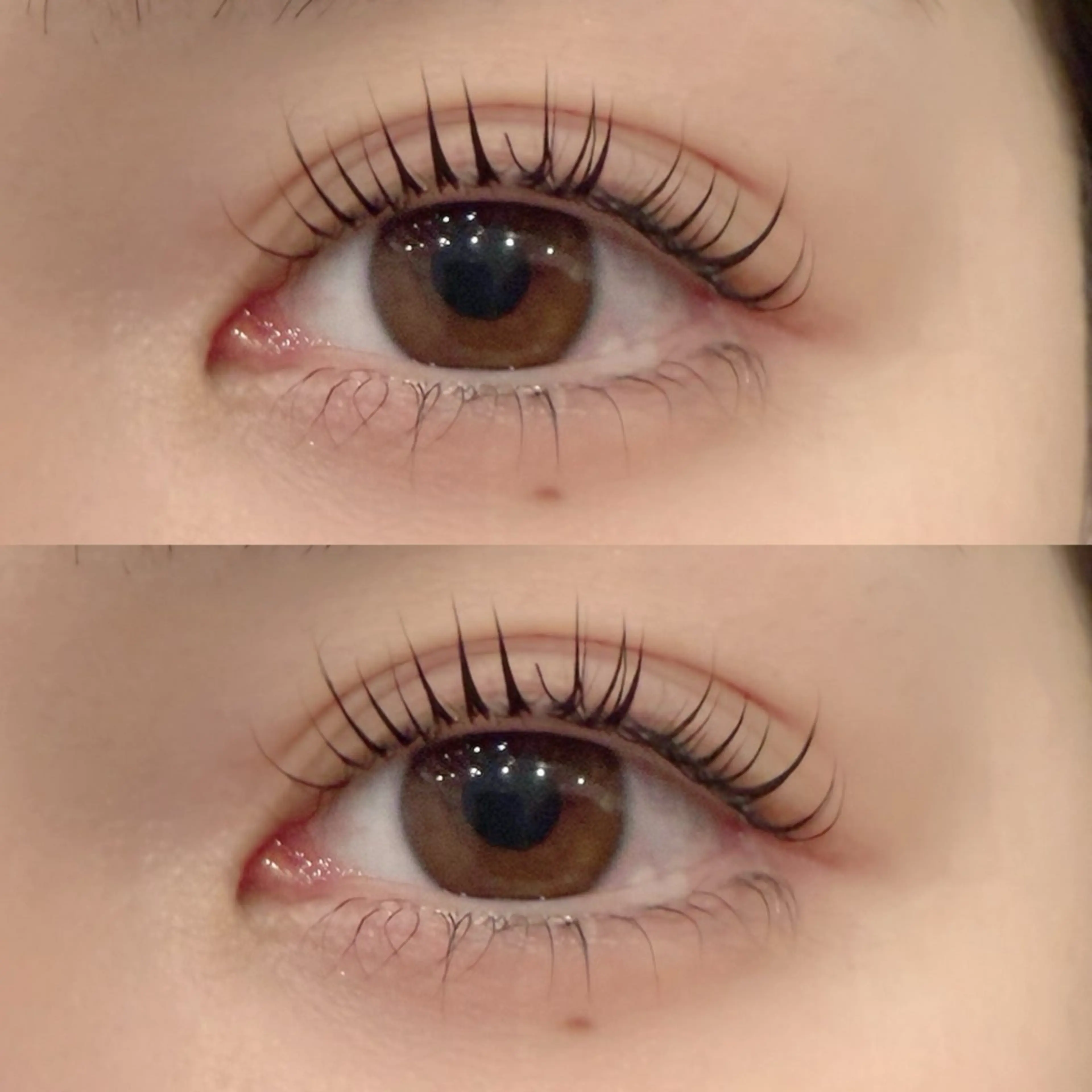 マツエク・マツパ サクラブロウ 第2ビル店 小松の眉毛・アイブロウイメージ