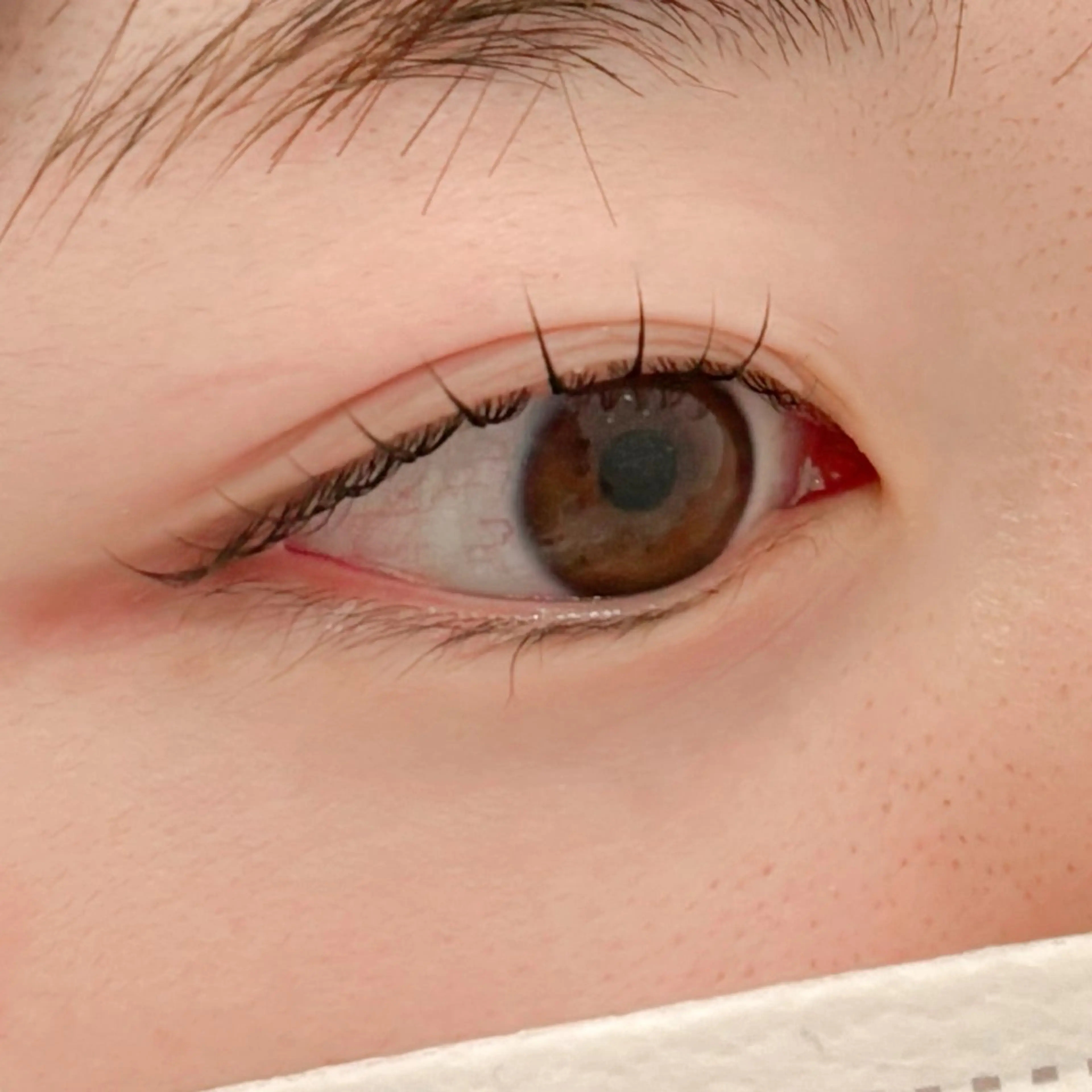 マツエク・マツパ マツパ 🌙Lily 船橋 鈴木のマツエク・マツパデザイン