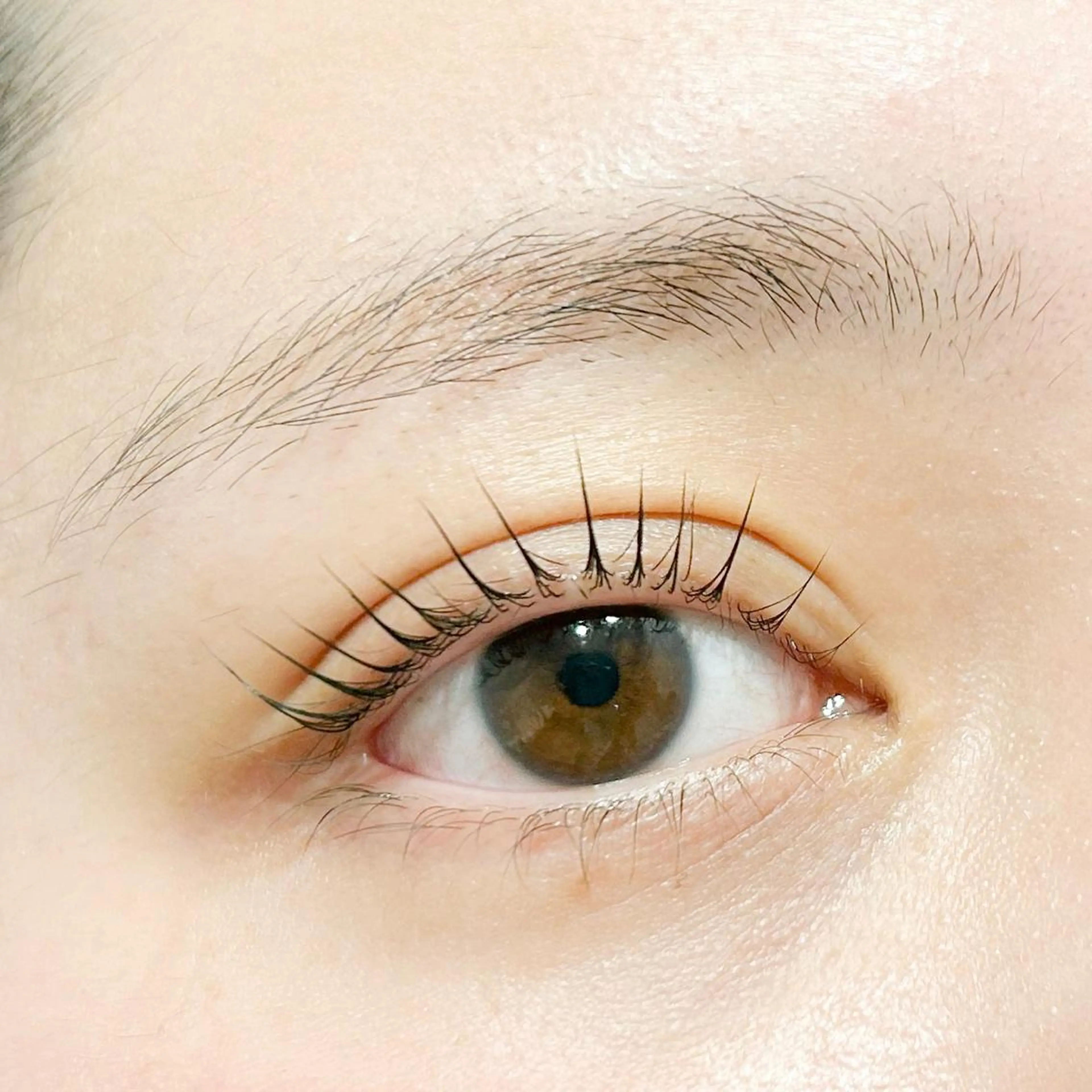 マツエク・マツパ Lignal.所属・Lignal. miyuの眉毛・アイブロウイメージ