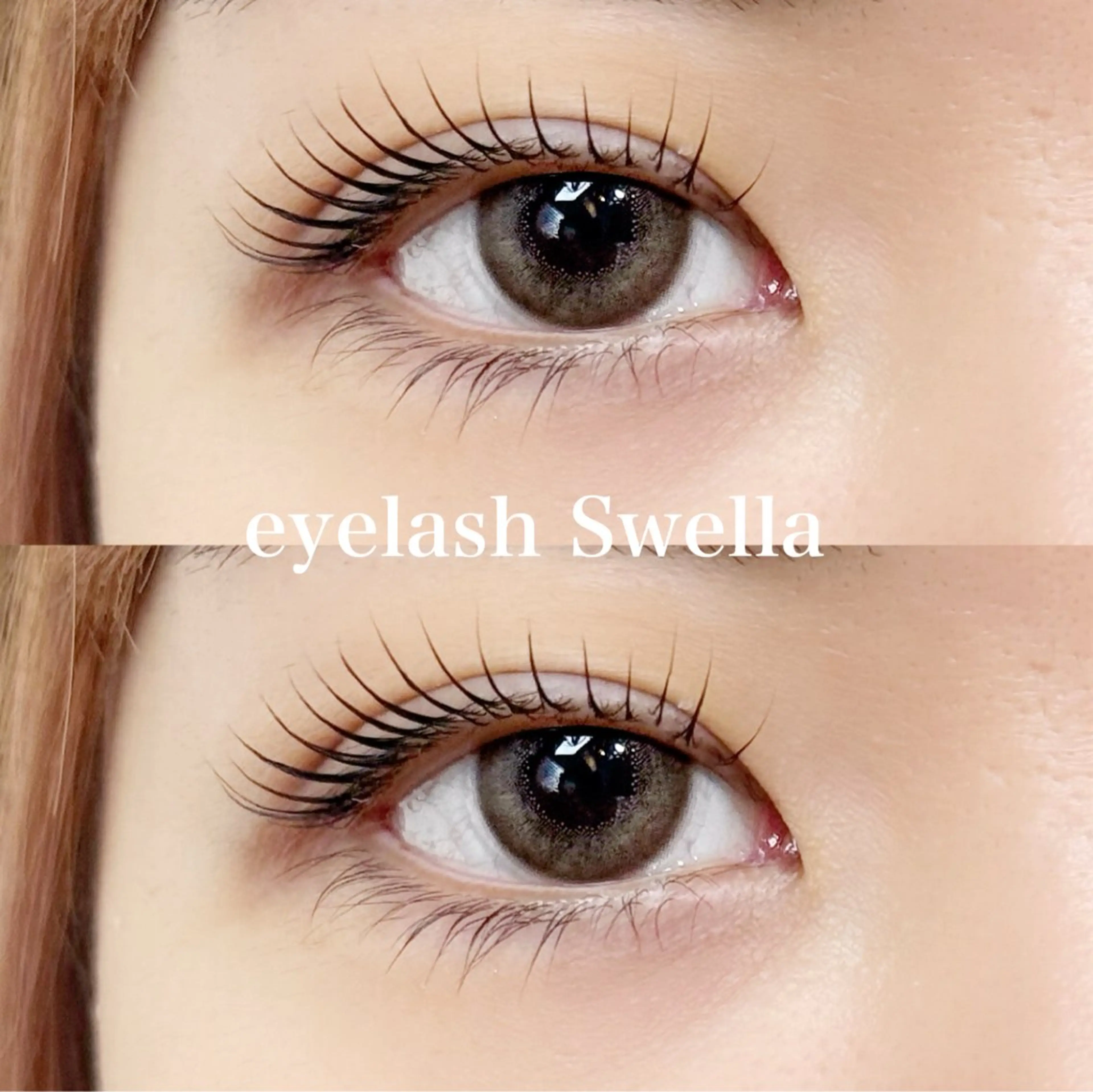 12月限定🦋韓国発🇰🇷マスカラパーマ【ケラチン入り✨ブラックコーティング】お試し価格の写真