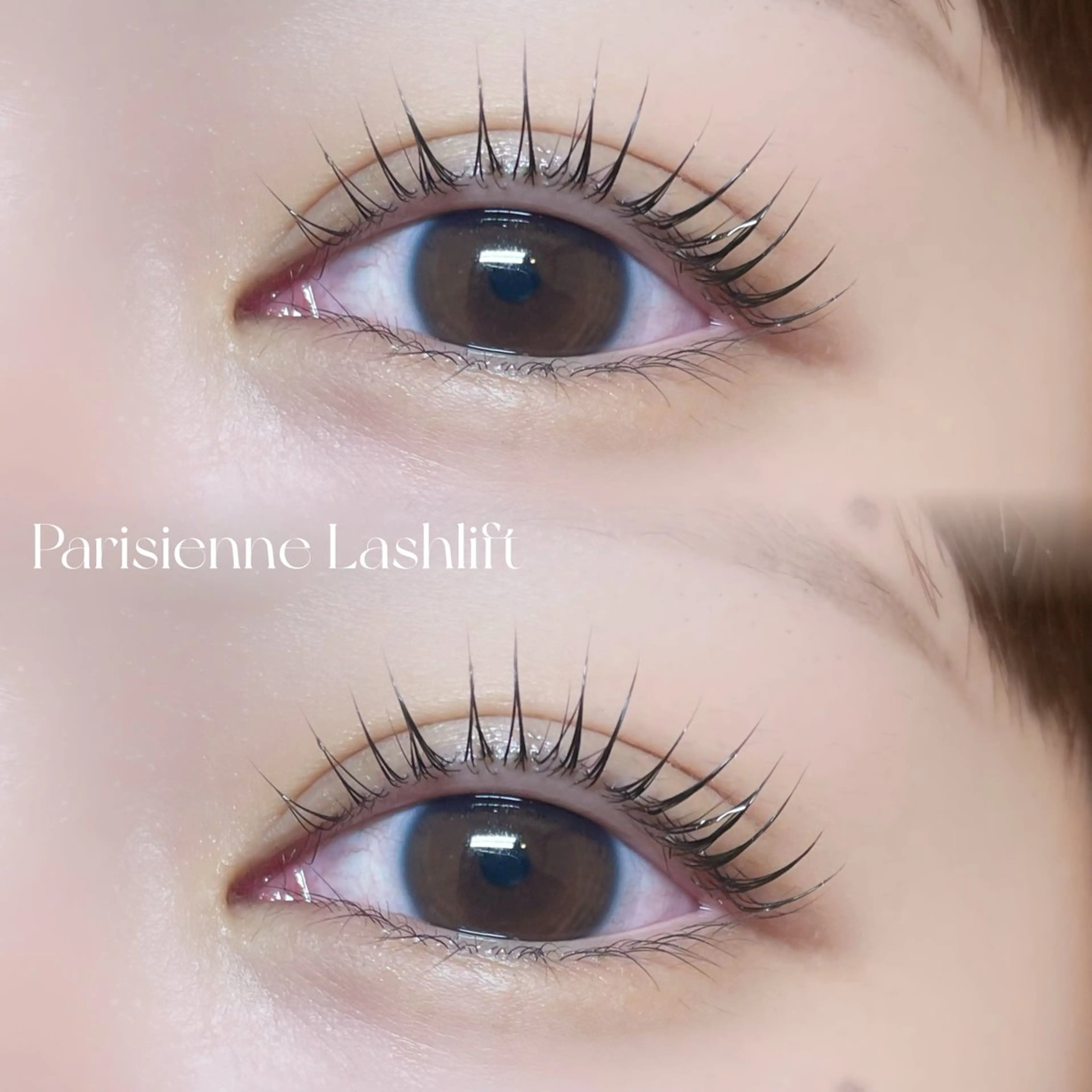 【ご新規様限定🕊】パリジェンヌラッシュリフト🌿の写真