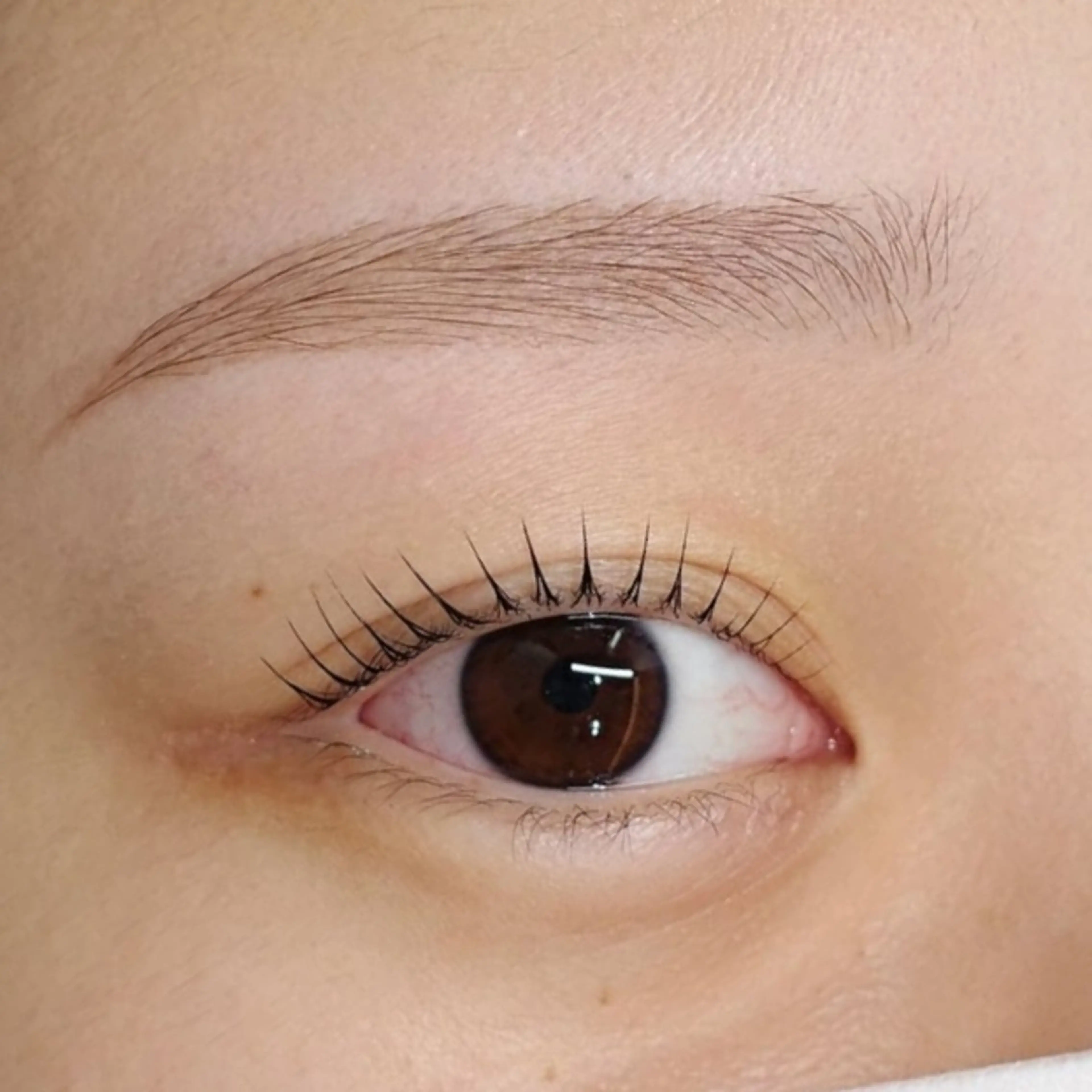 [平日]【学割U24限定🎀】上まつ毛パーマ✨の写真