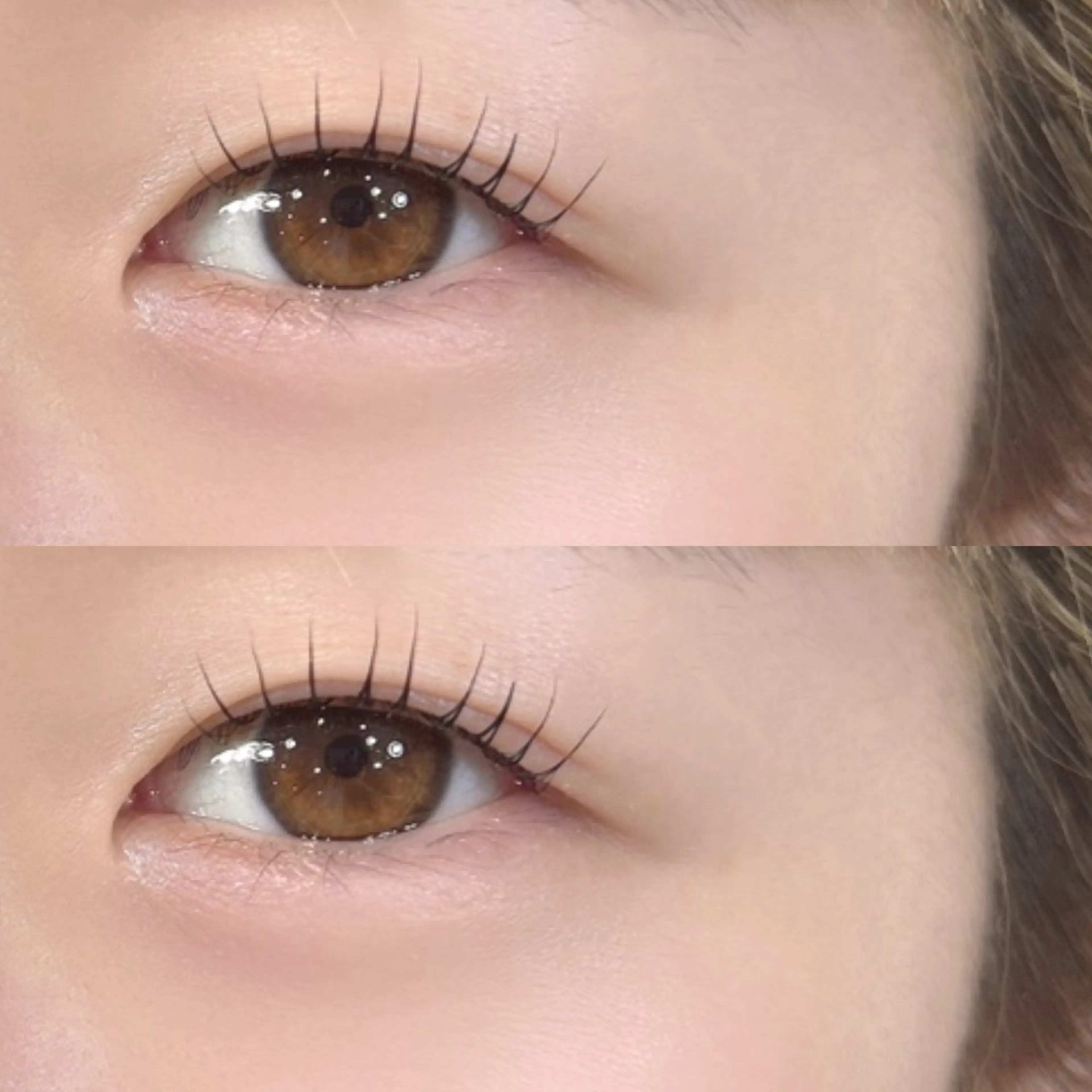 マツエク・マツパ マリーテレジア 🪽OKUMURAのマツエク・マツパデザイン