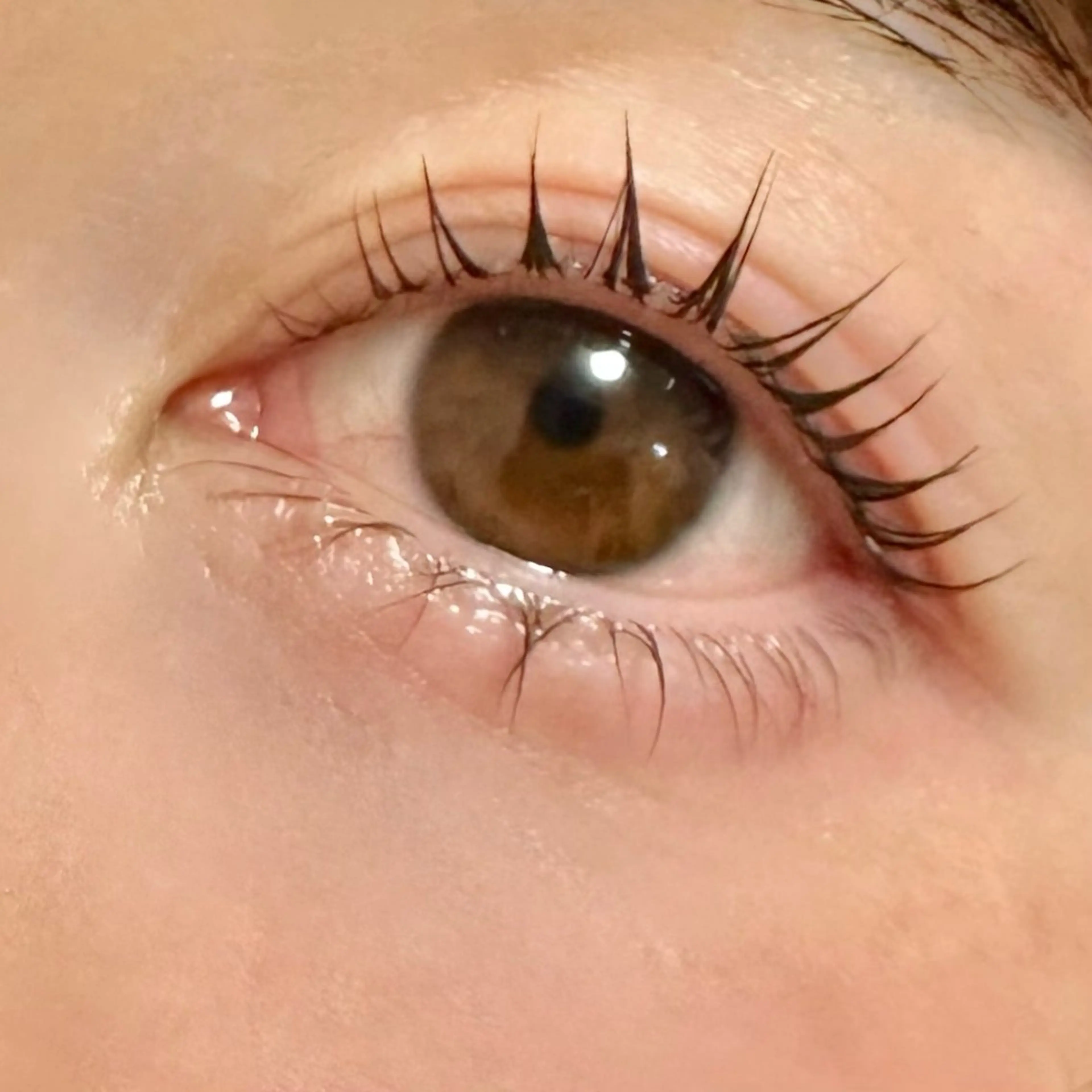 マツエク・マツパ eyelash&hairmake sheep所属・Sheep 黒崎のマツエク・マツパデザイン