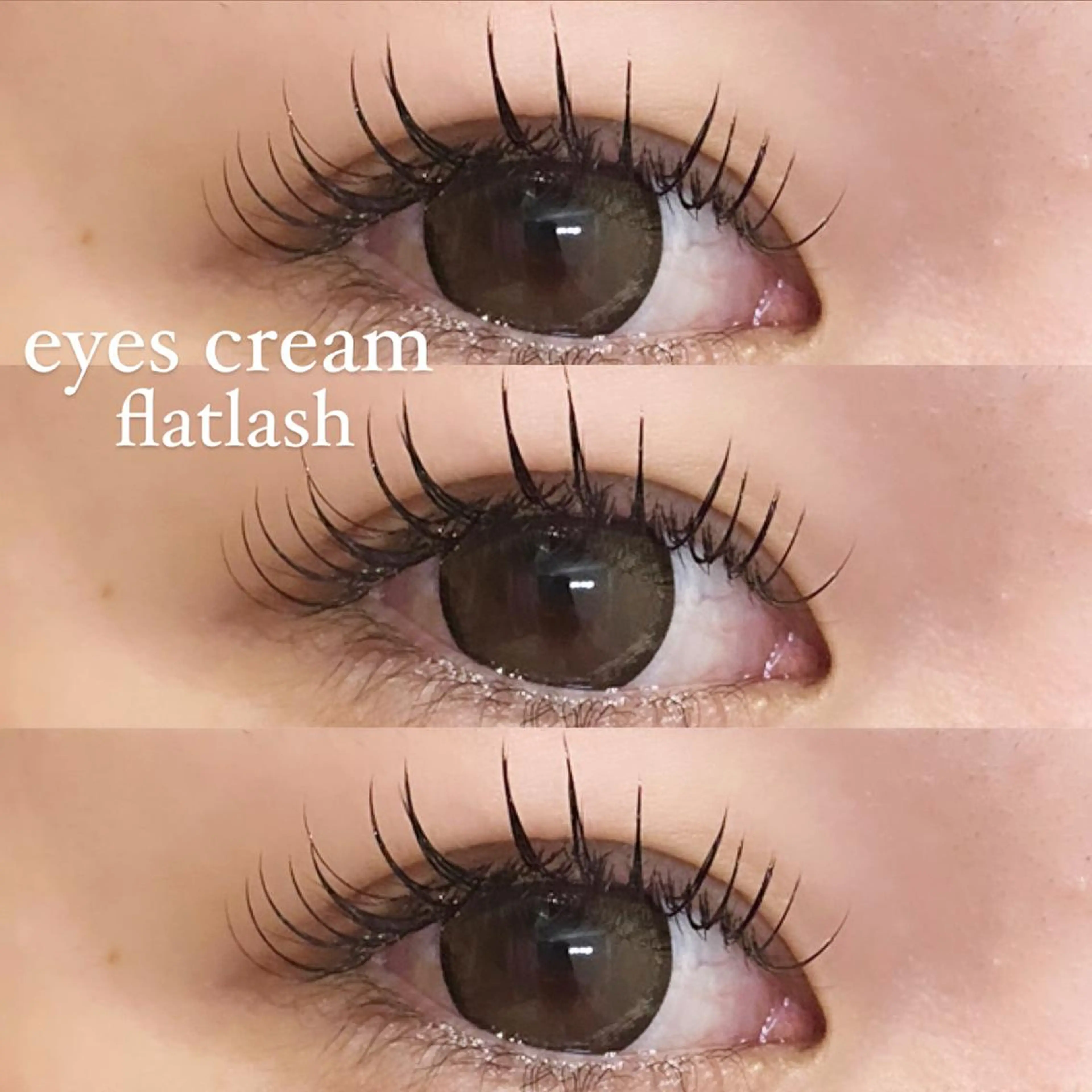 マツエク・マツパ アイブロウ マツエク eyes cream所属・まつ毛と眉毛のおみせ 🪄なんばのマツエク・マツパデザイン