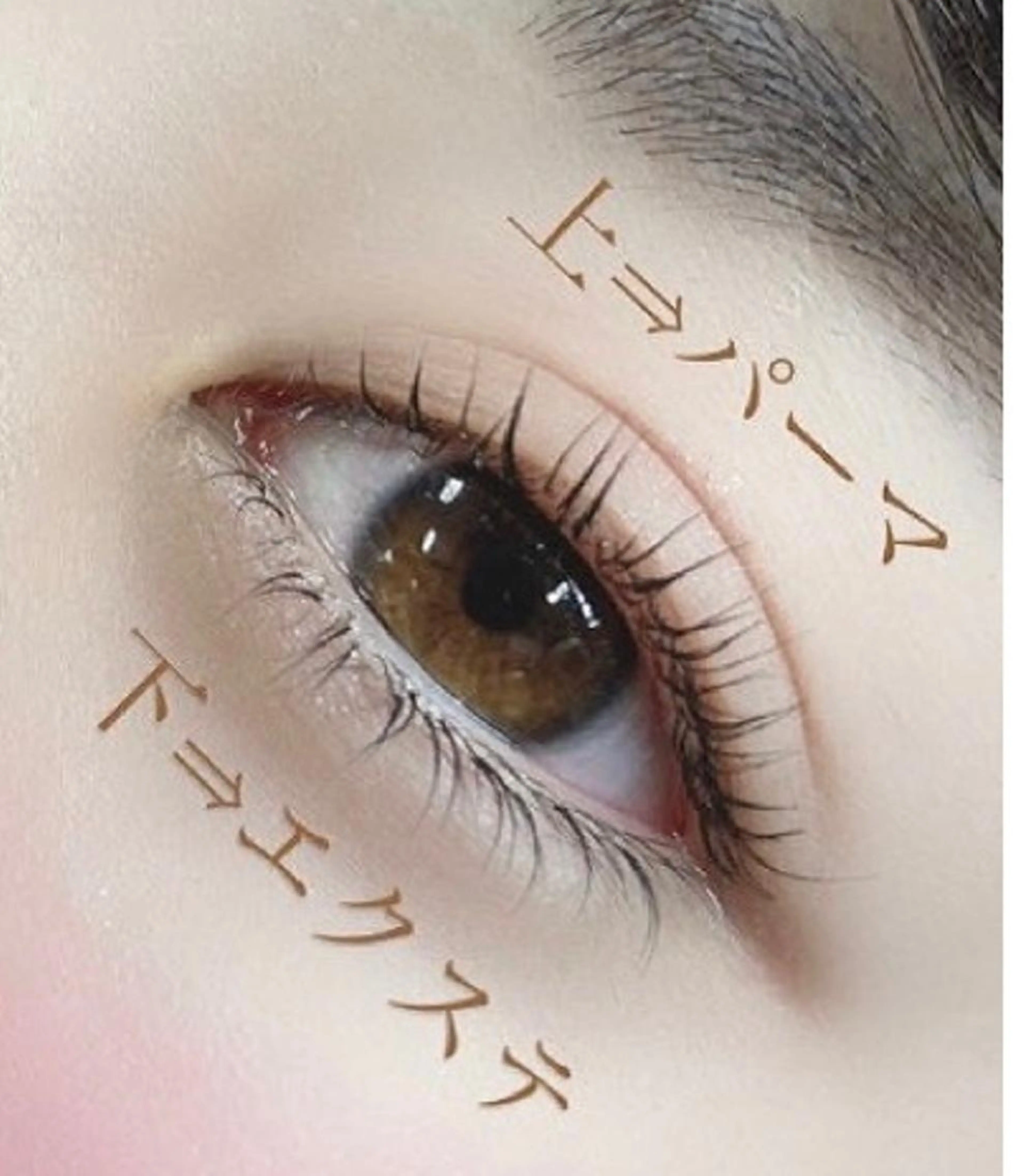 まつげパーマ上下の写真