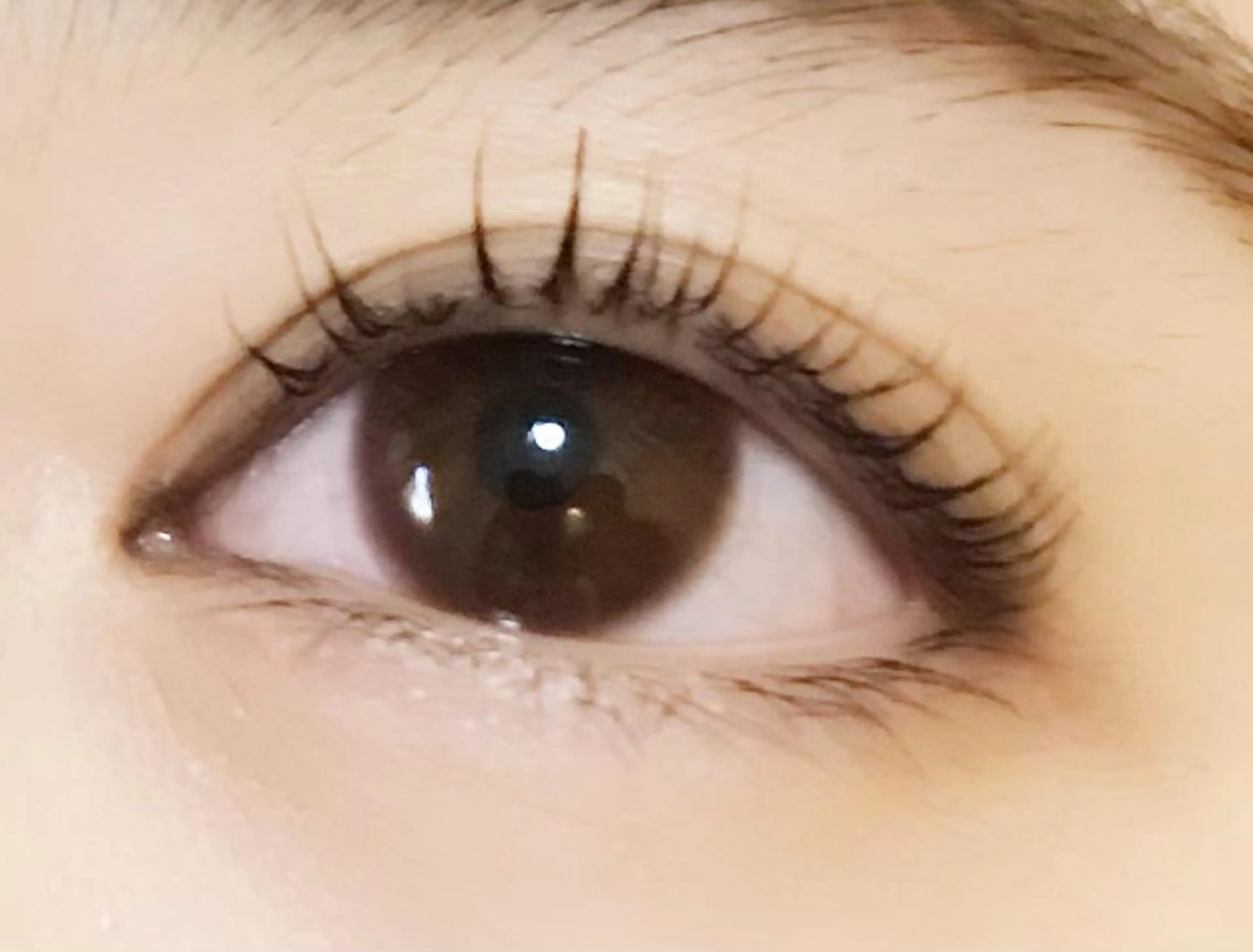 8月限定♡まつげパーマ上SNSモデル価格！お目元のbeforeafter撮らせて頂きますの写真