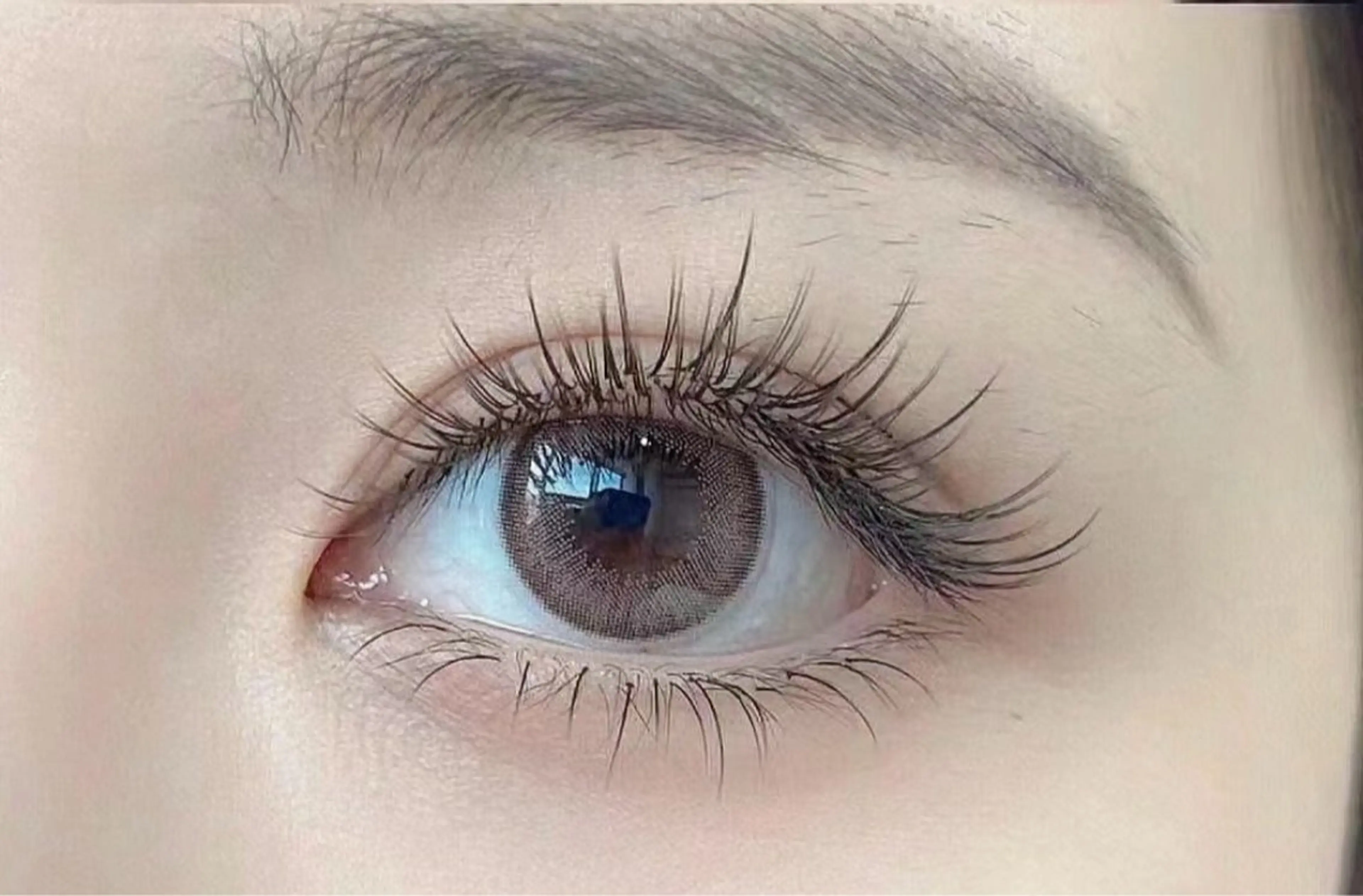 🌸フラットラッシュ上つけ放題(オフ+¥440)の写真