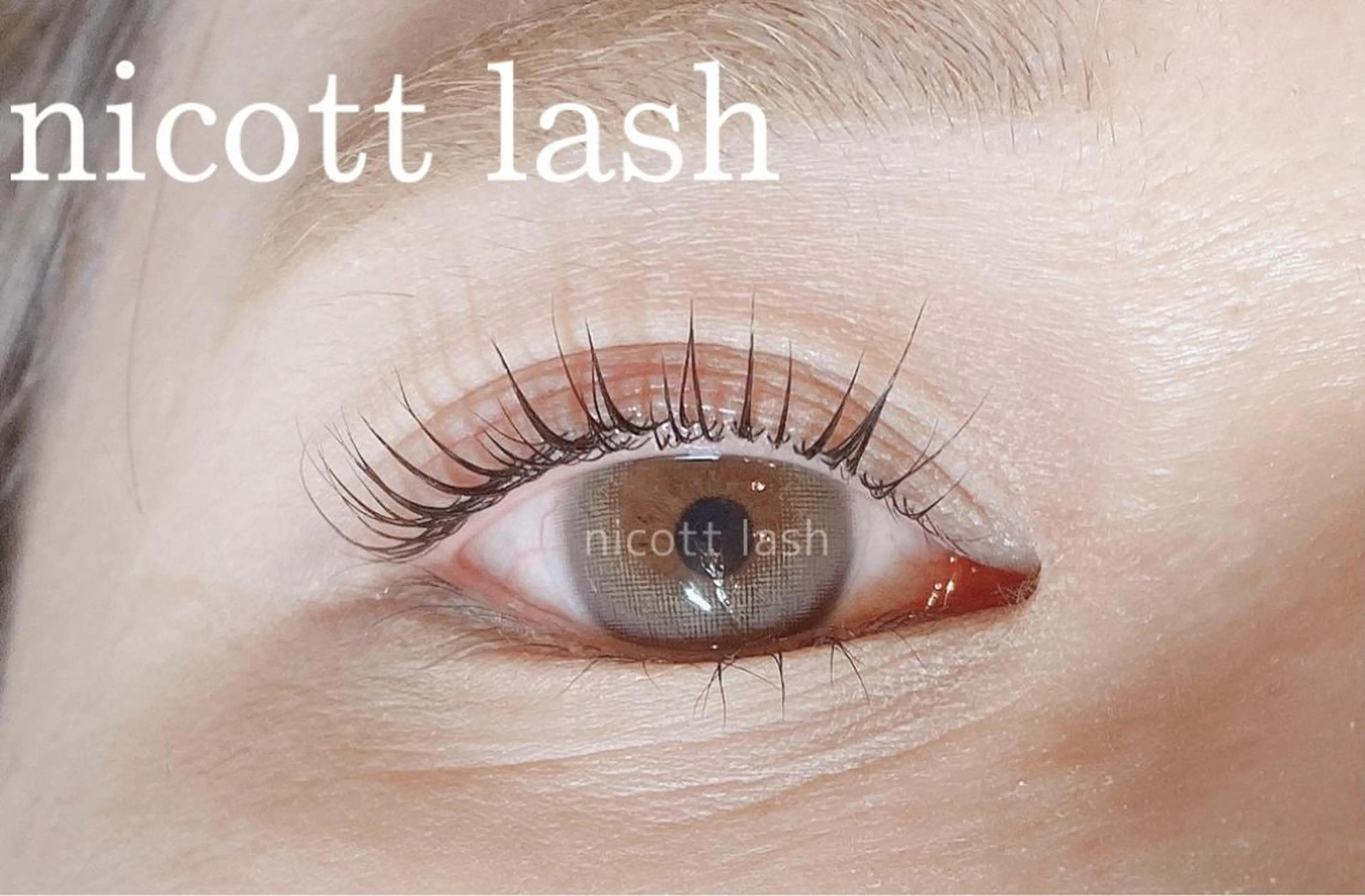 マツエク・マツパ パリジェンヌラッシュリフト nicottlash 天王寺店の眉毛・アイブロウイメージ