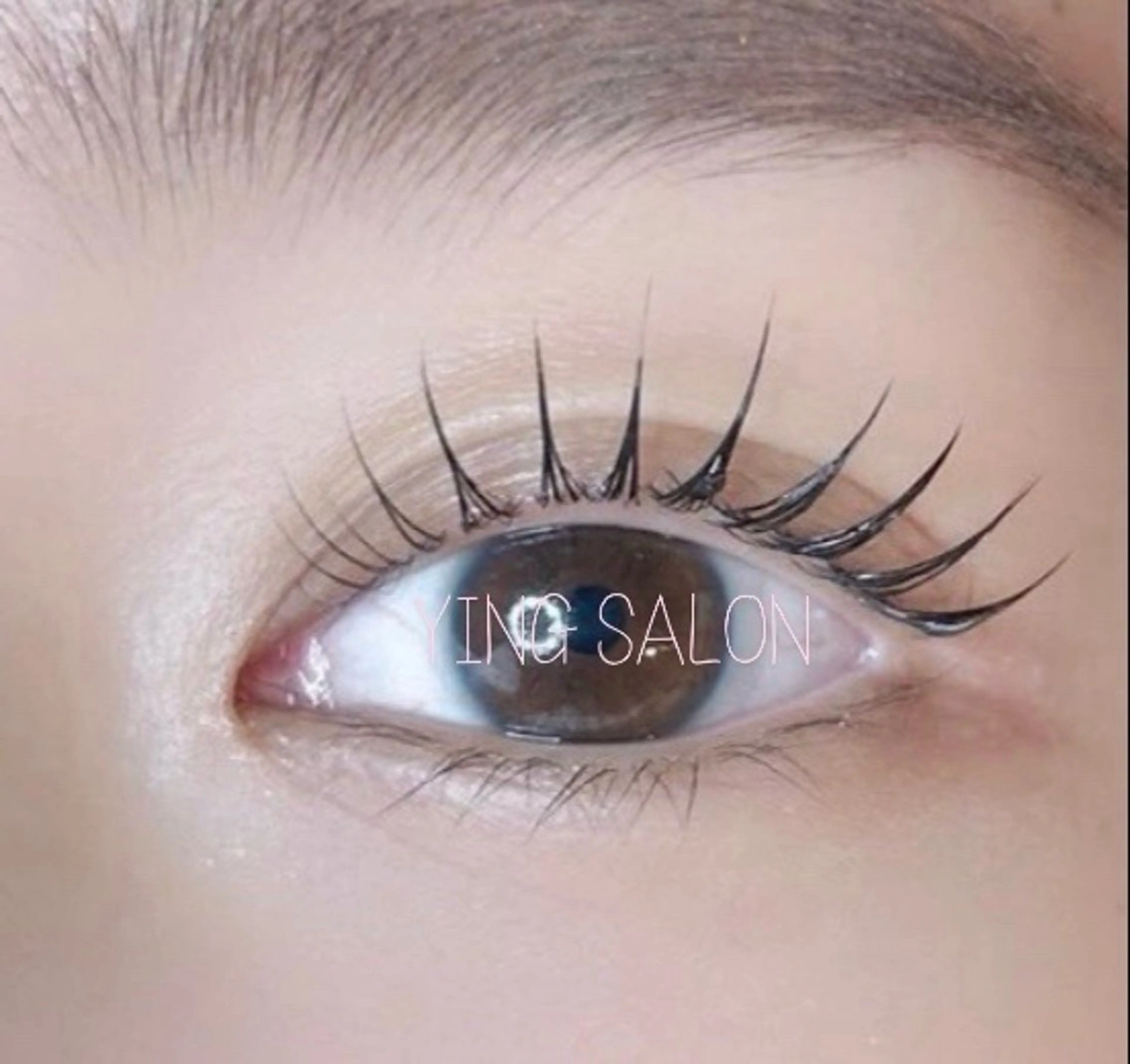 韓国🇰🇷うるうる束間まつげパーマ ➕ コーティング🧚‍♂️の写真
