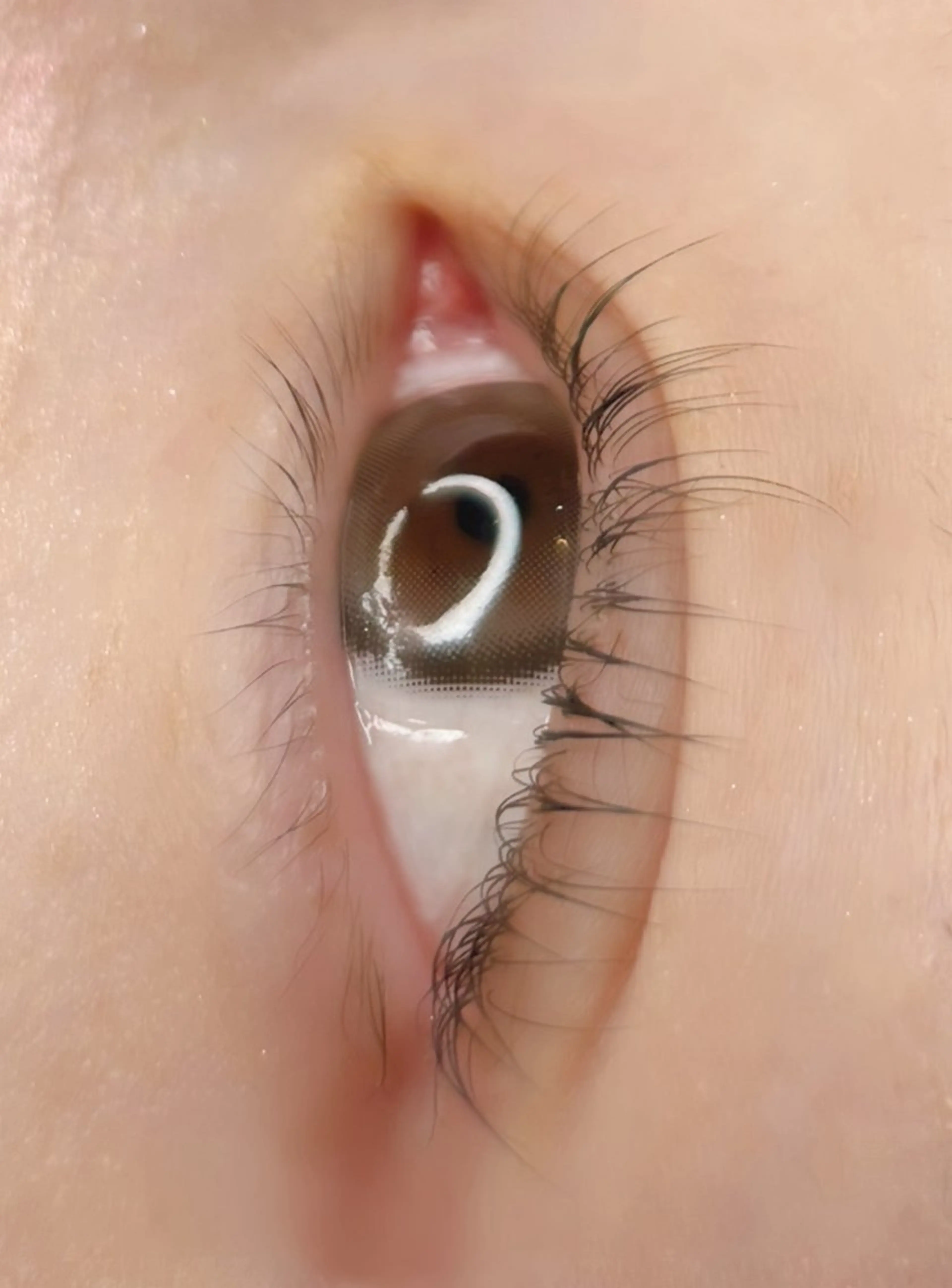 パーマ ネイル&まつげエクステTerra 池袋店所属・池袋 すずきのマツエク・マツパデザイン