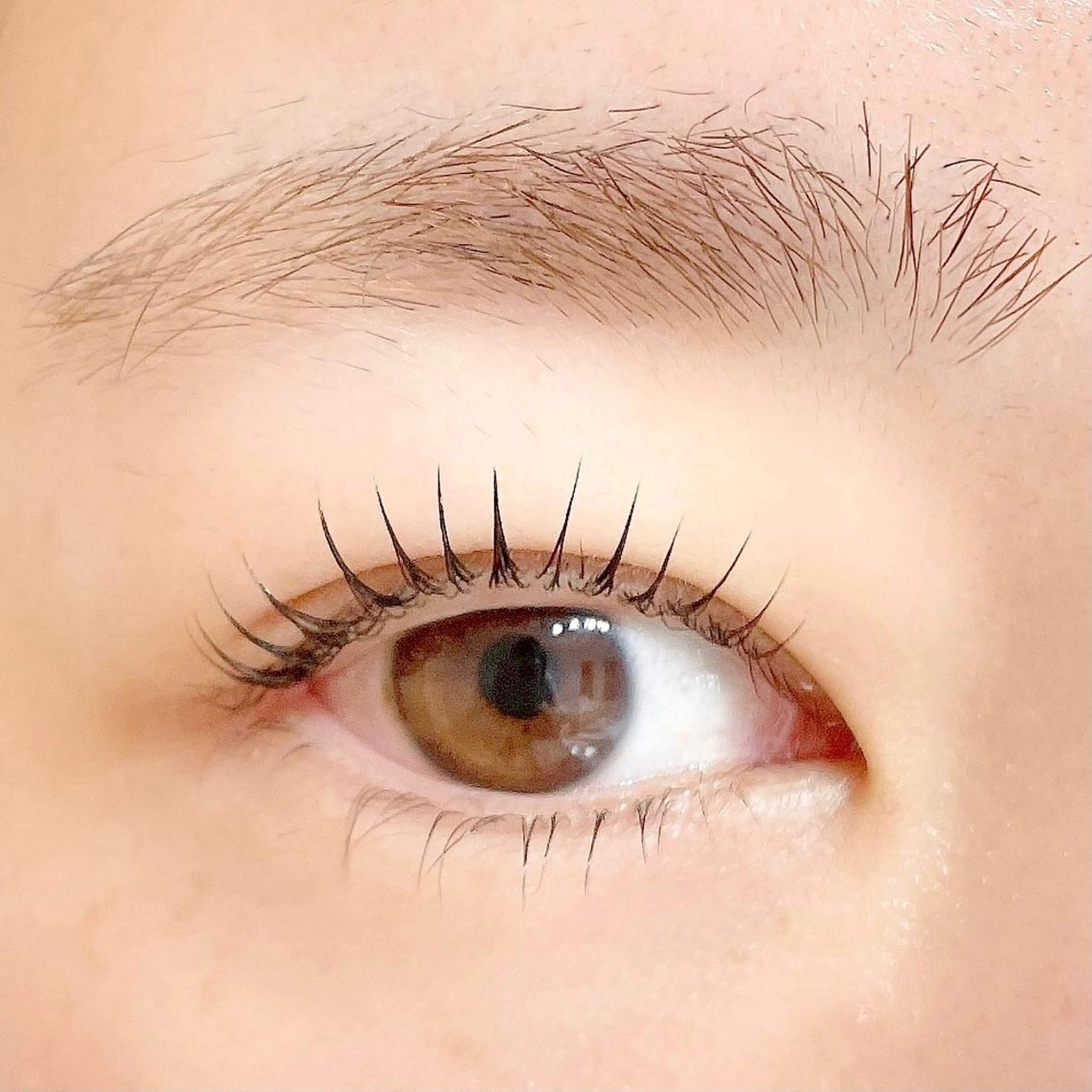 マツエク・マツパ ant_u🌷 arisaのマツエク・マツパデザイン