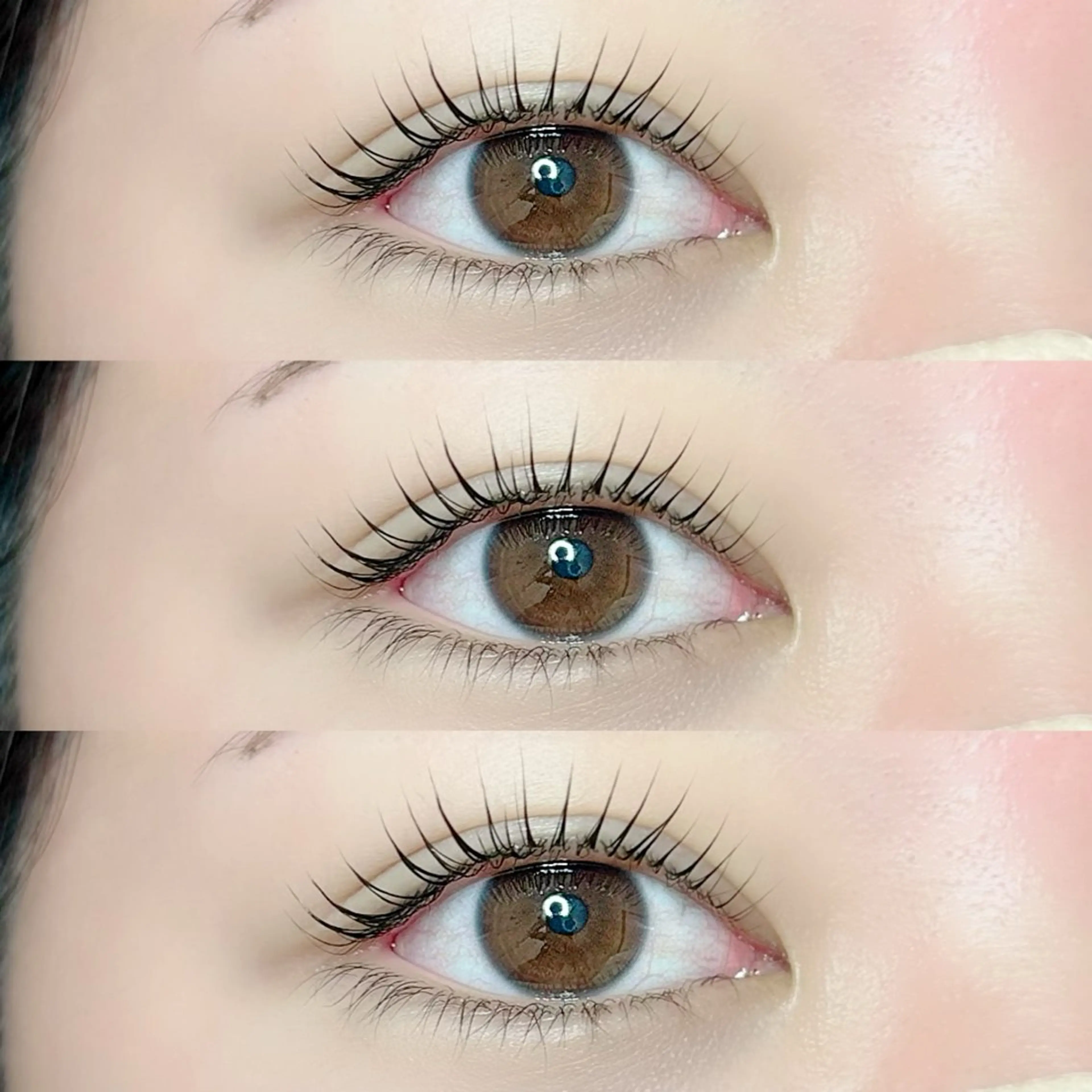 ãããšã¯ã»ããã ããã ðºðððð ÊɪáŽáŽÊɪðŒàŸàœ²ã®ãããšã¯ã»ããããã¶ã€ã³