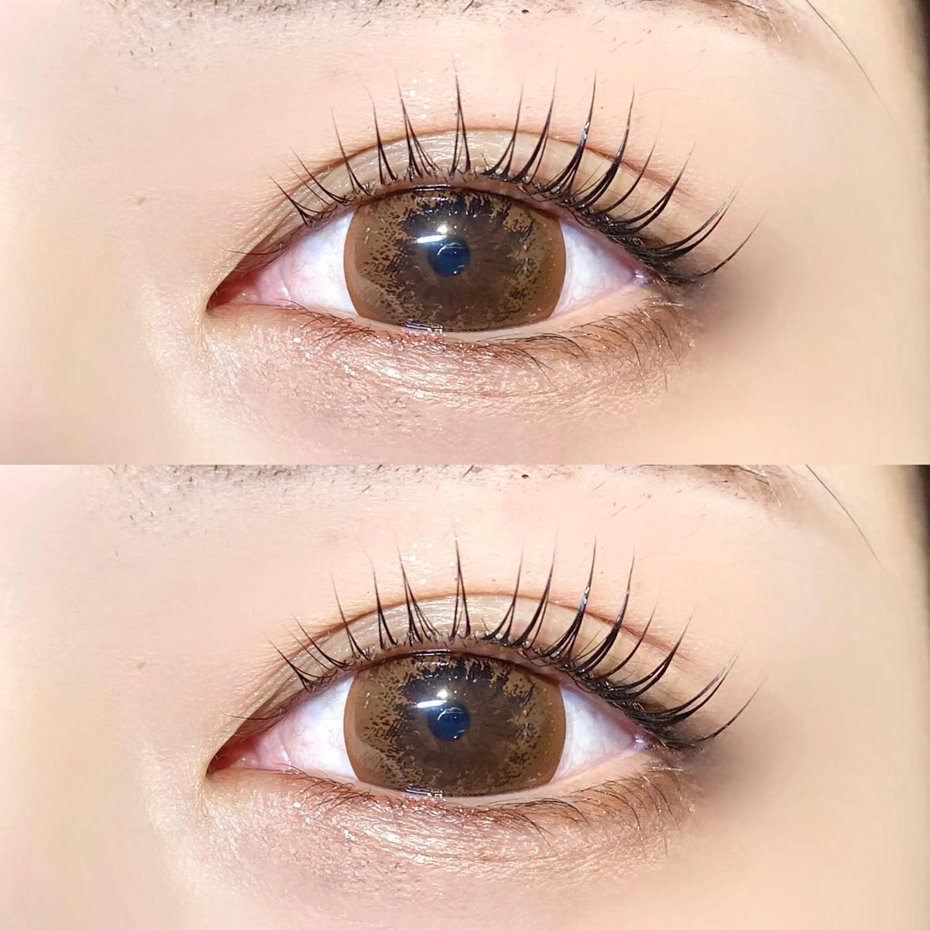 🌸セットメニュー🌸《パリジェンヌラッシュリフト上下＋トリートメント🧴》の写真