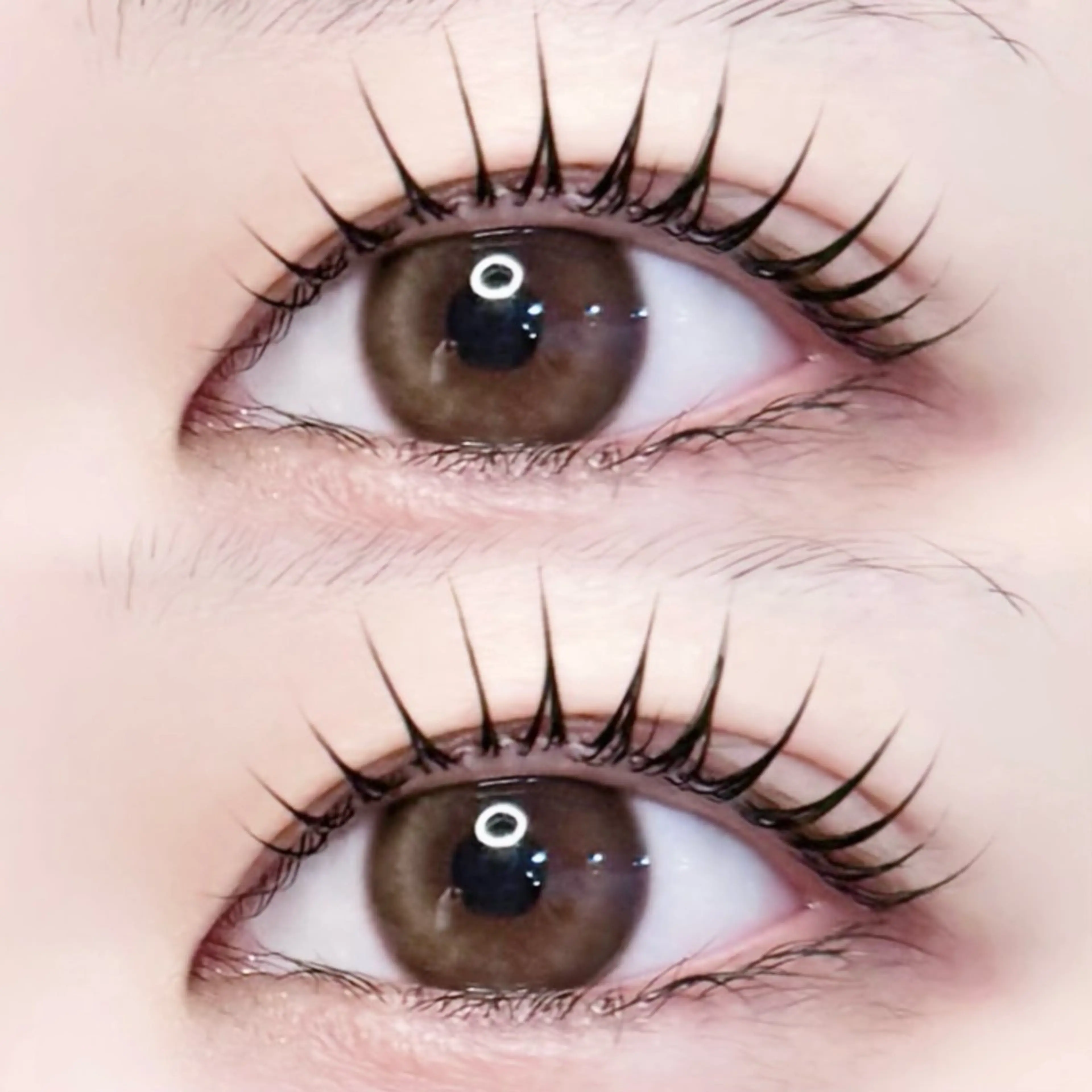 マツエク・マツパ 束感まつ毛 パリジェンヌラッシュリフト iels三軒茶屋/ ITO RUIのマツエク・マツパデザイン