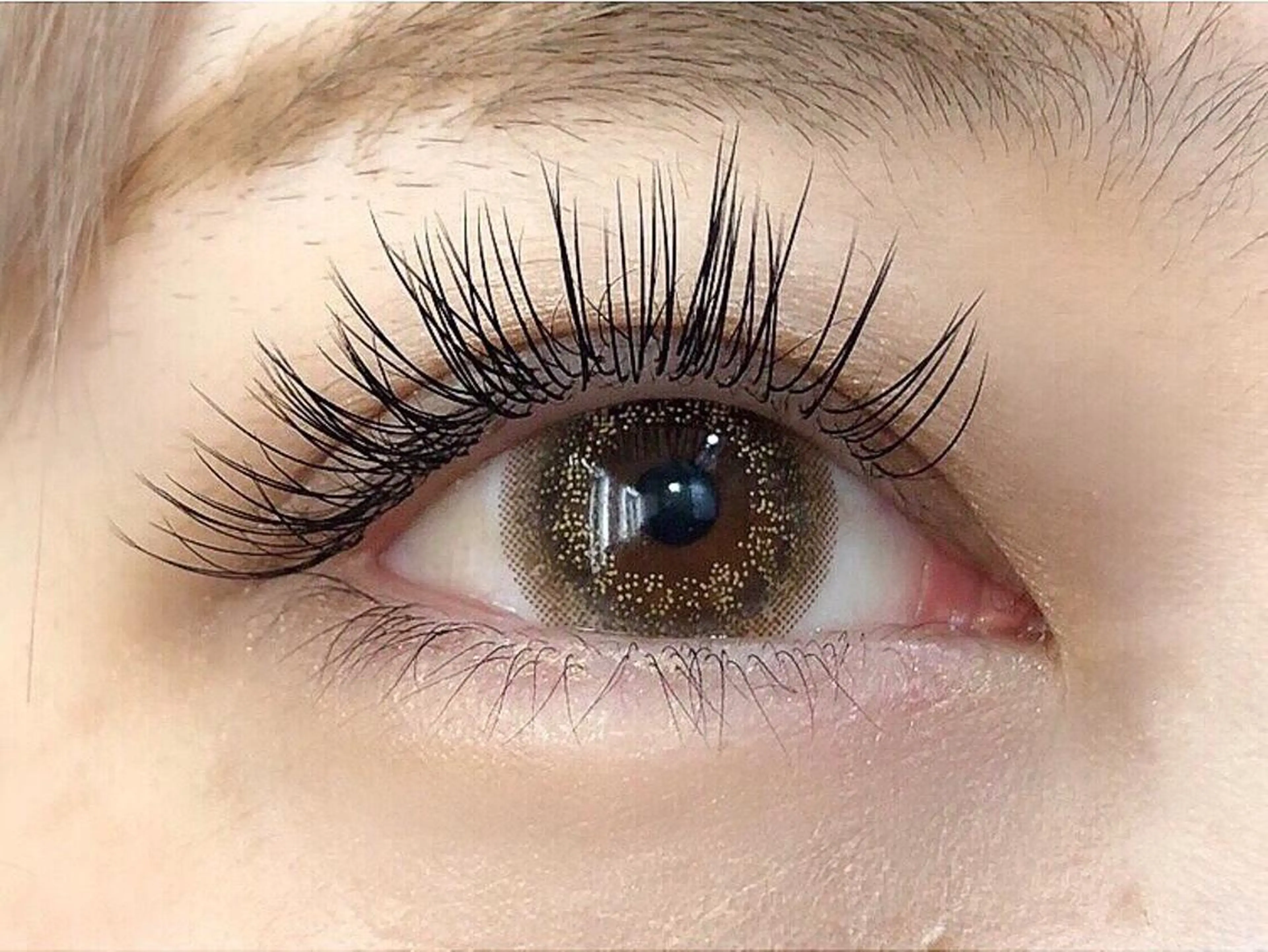 🌟minimo限定🌟ご新規様限定🌟フラットラッシュ 100本 コーティングつき✨オフ無料の写真