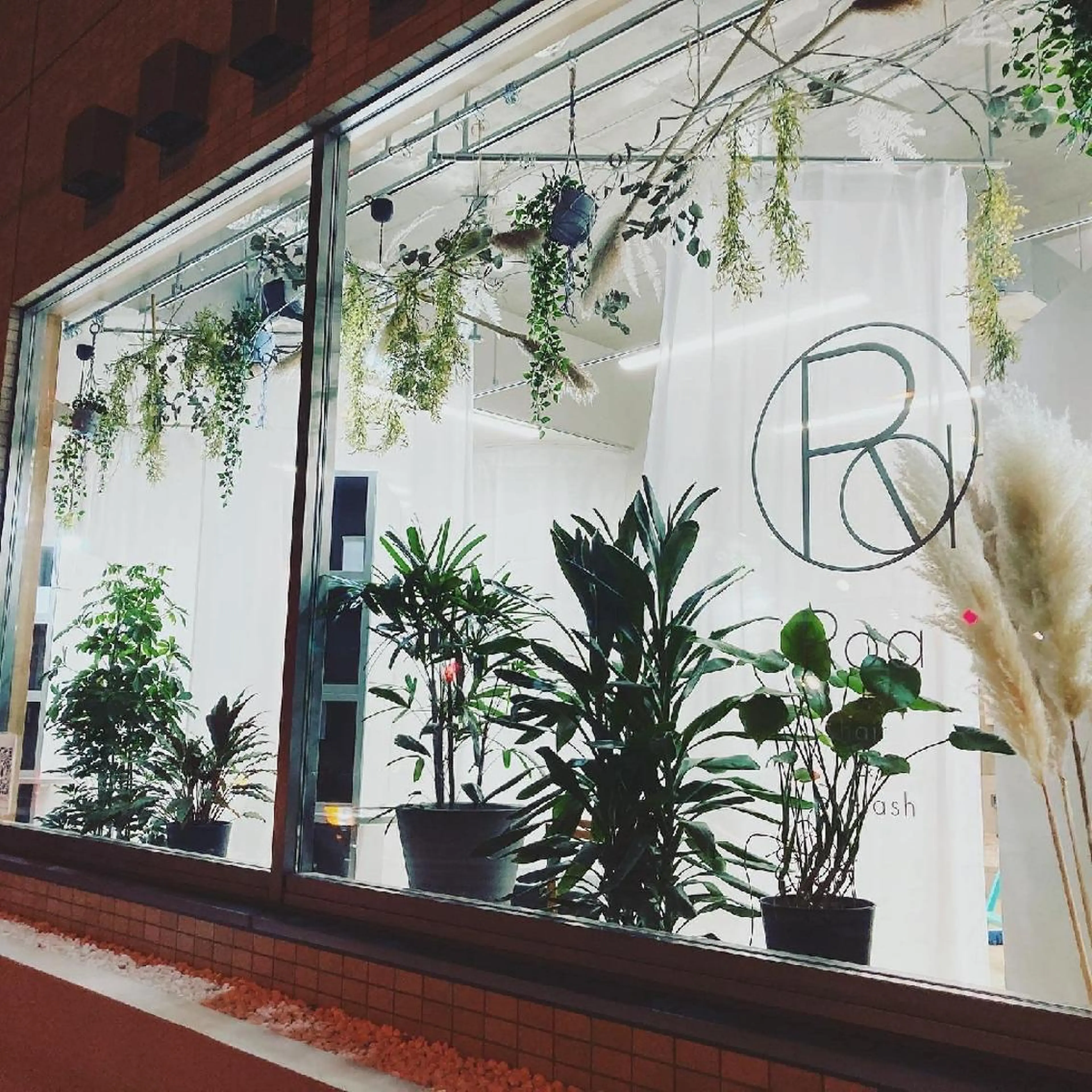 メンズ カラー マツエク・マツパ アイブロウ Roa所属・🪞🫧豊田美優/ まつげパーマ🫧🪞のマツエク・マツパデザイン