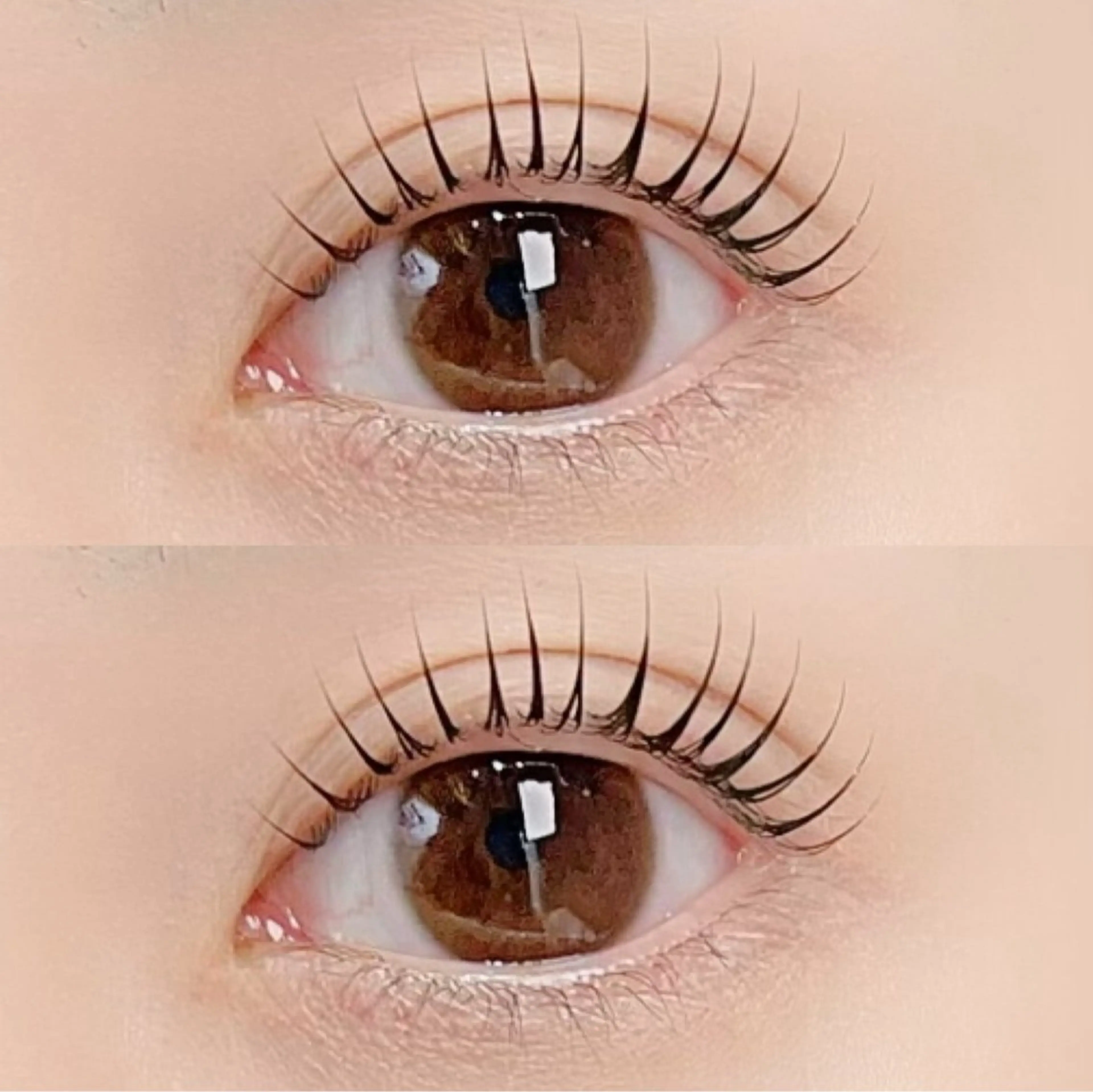 《ご新規様平日限定》🪞韓国風束感ラッシュリフト🪞【アイシャンプー&ケラチントリートメント付き】の写真