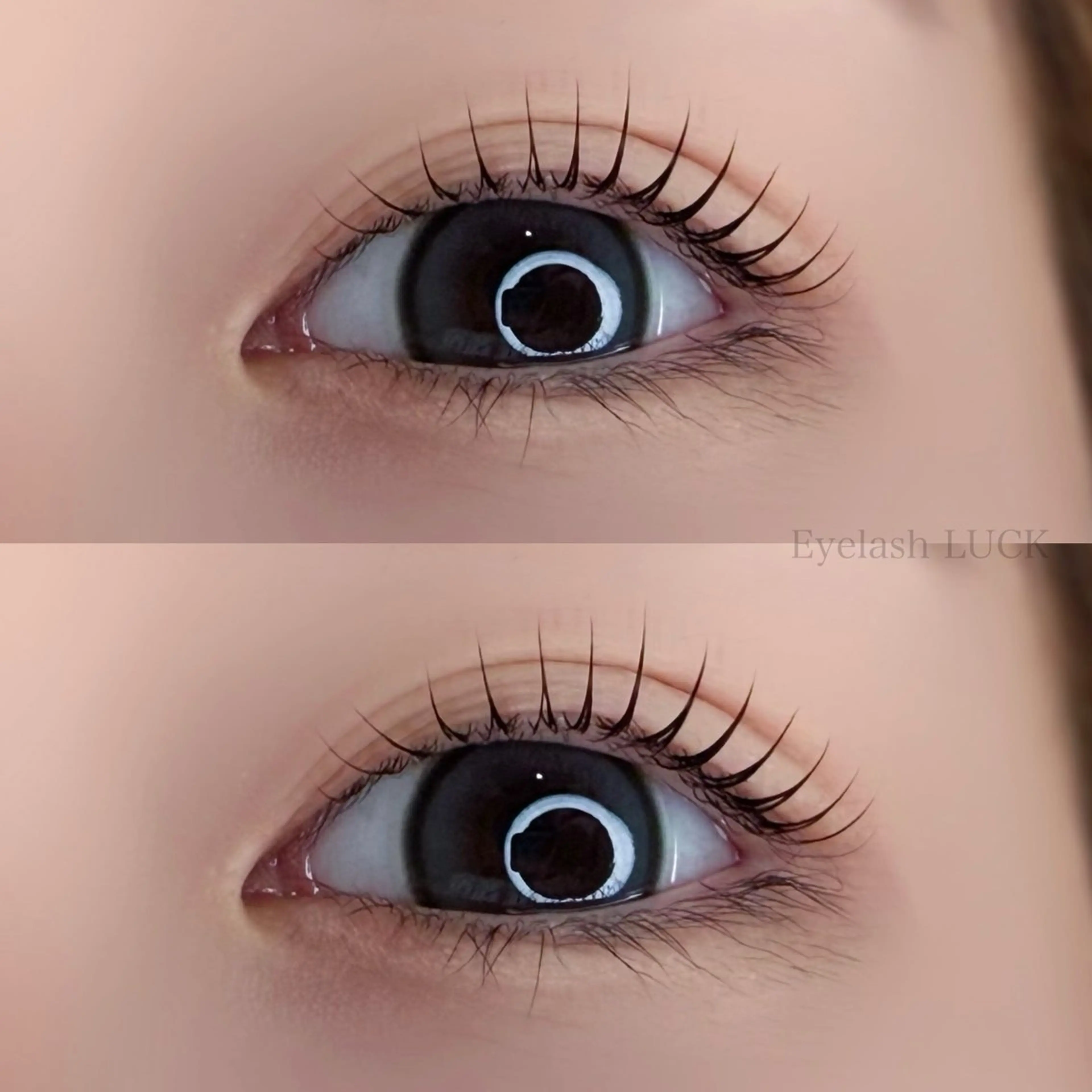 【クリスマス限定🎄】トリートメント付き✨まつ毛パーマor パリジェンヌラッシュリフト＋束感コーティング🪄︎︎の写真