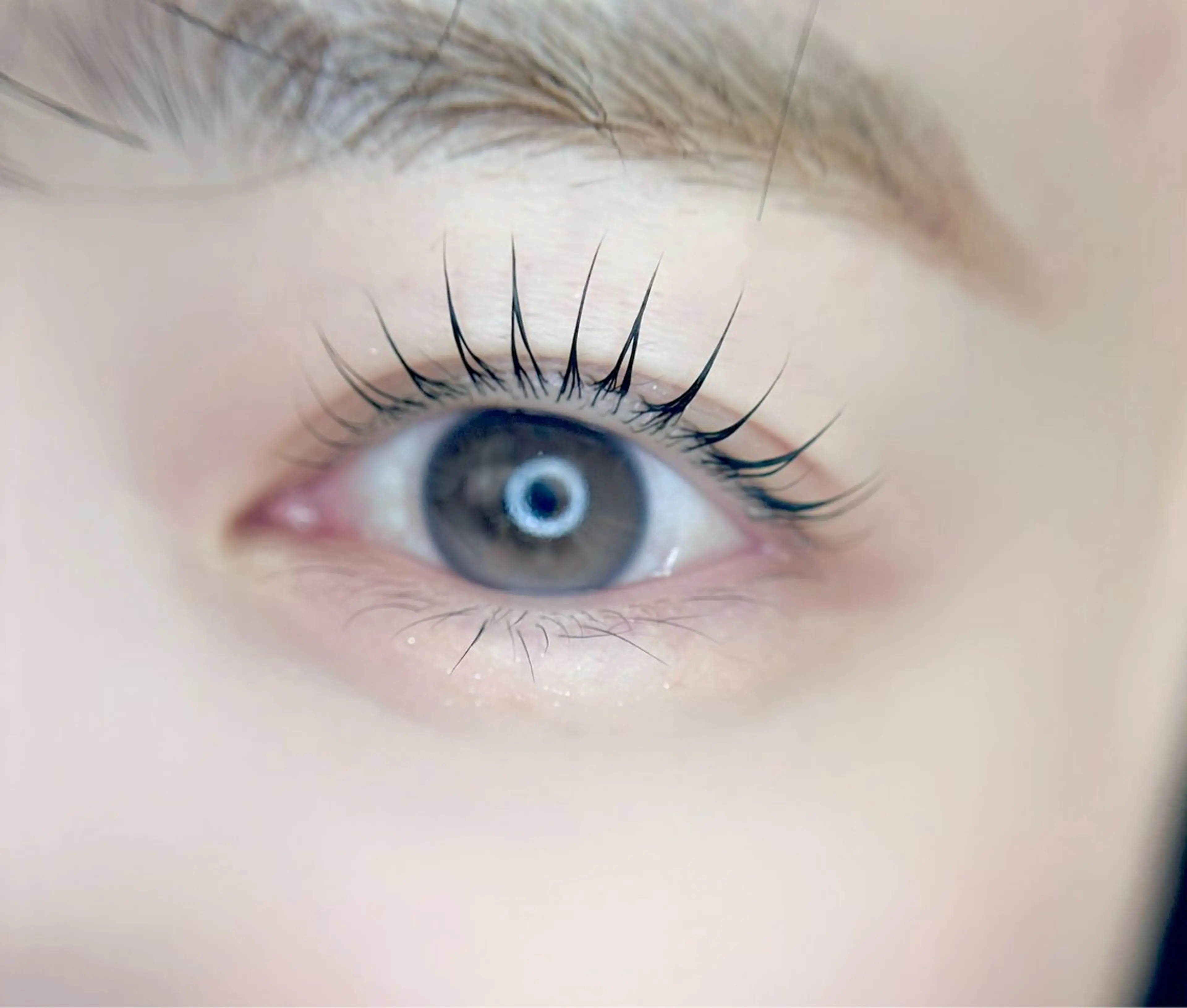 マツエク・マツパ パリジェンヌラッシュリフト マツパ eyelist. mizuki🐈‍⬛のマツエク・マツパデザイン