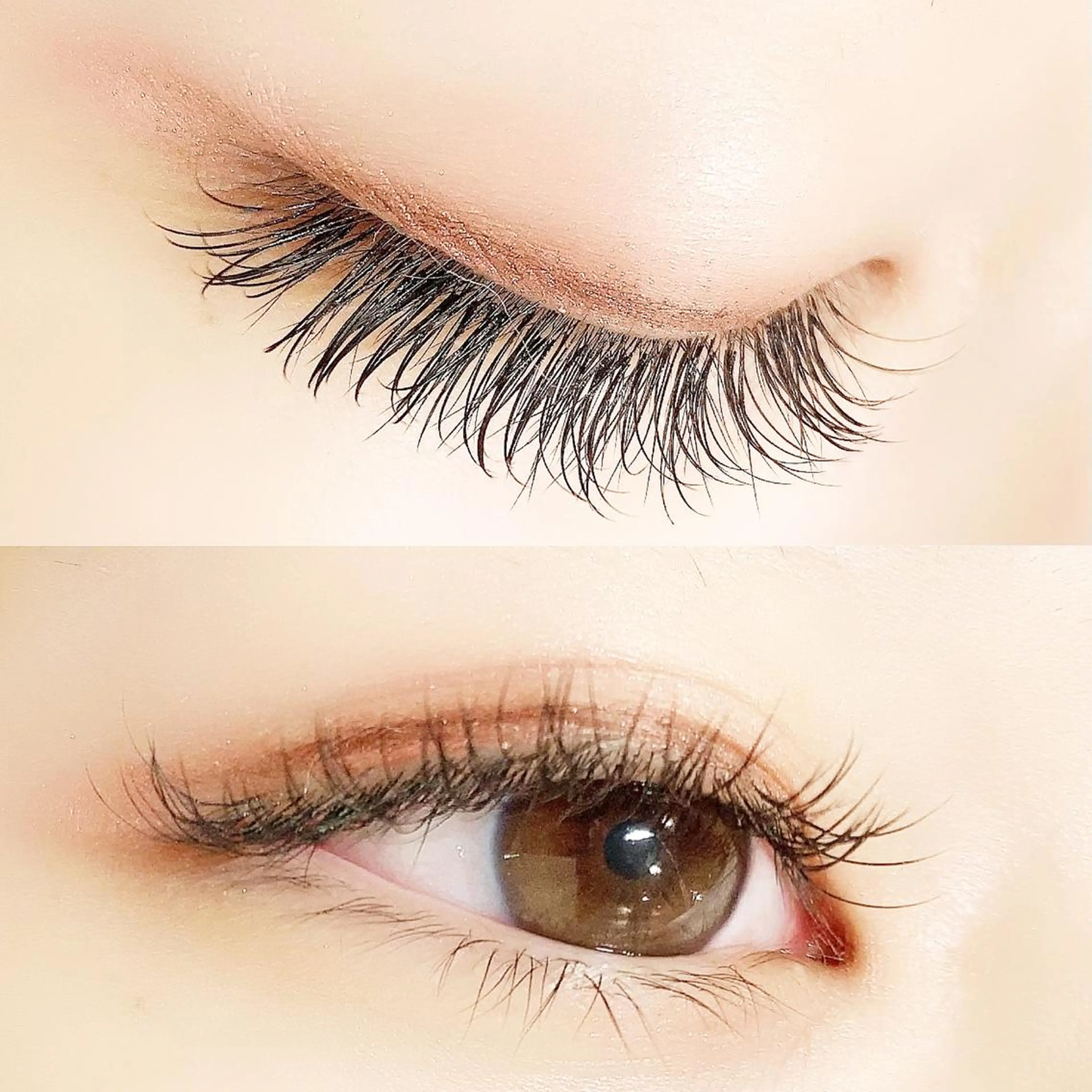 マツエク・マツパ フラットラッシュ セクシー マツエク Lanhr所属・【Lanhr】 🕊aya🕊のマツエク・マツパデザイン