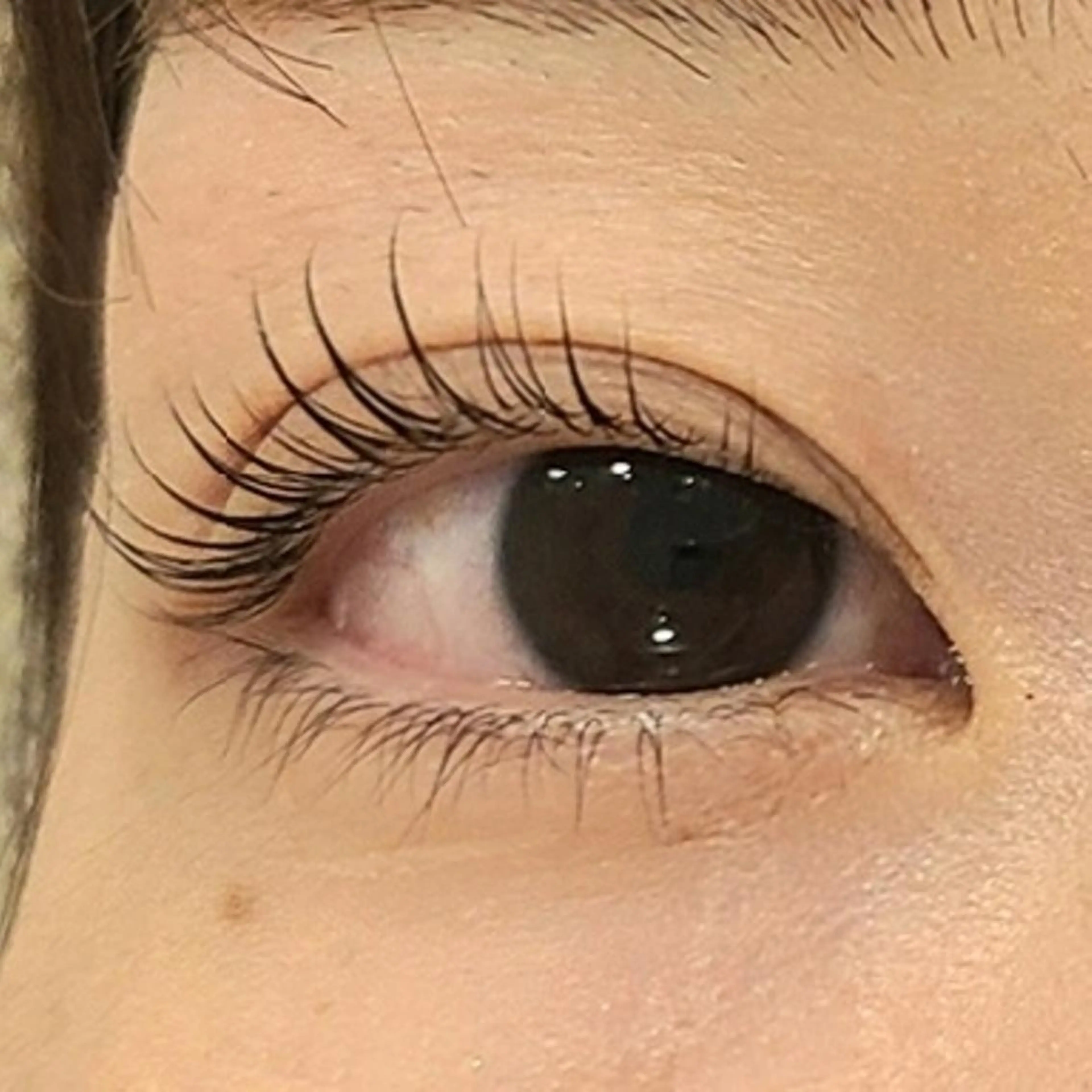 マツエク・マツパ 👑🐗 下原のマツエク・マツパデザイン