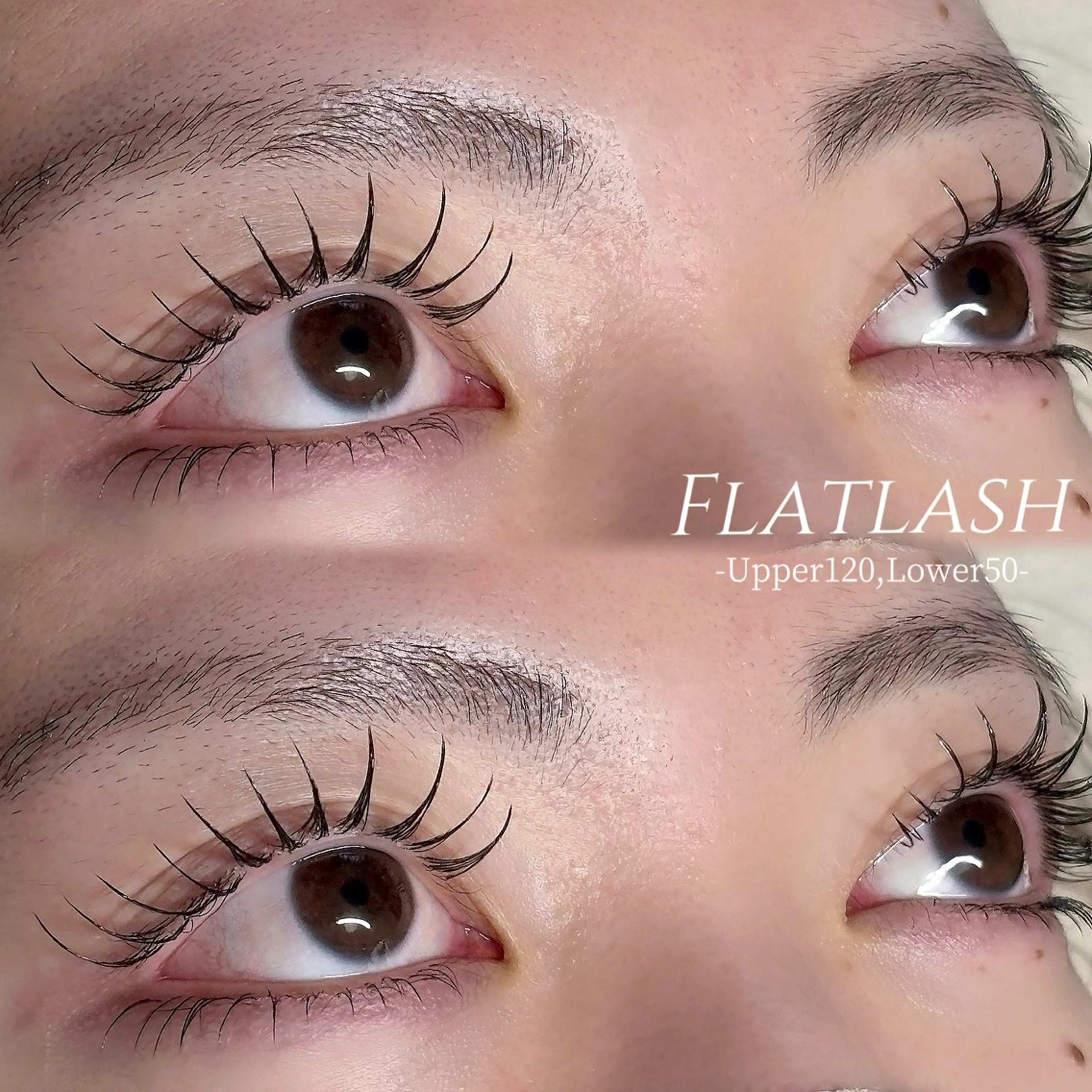 マツエク上(120本まで)+下(60本まで)🍯の写真