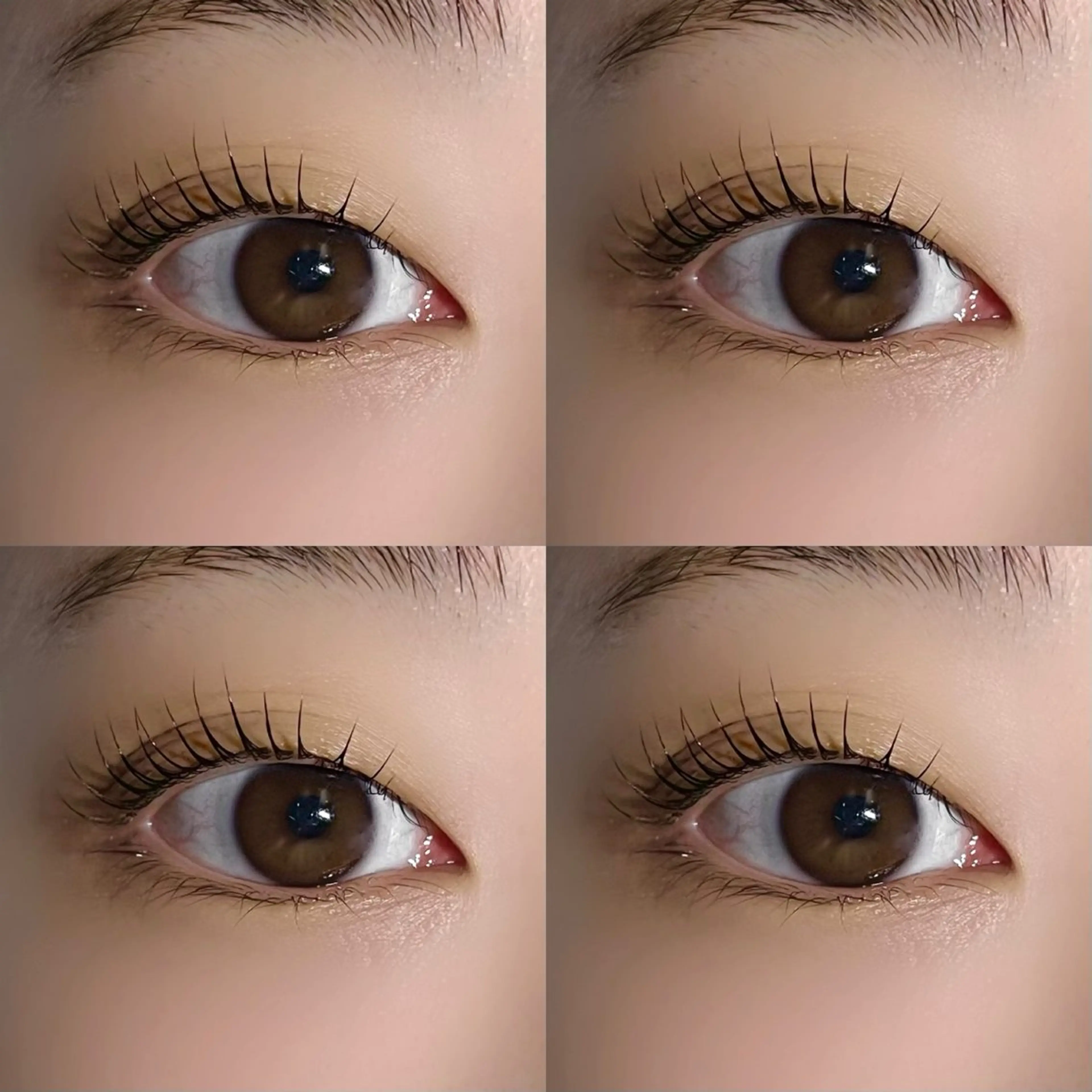 マツエク・マツパ 垢抜け眉WAX専門 ちゅるんまつげ|鎌倉の眉毛・アイブロウイメージ