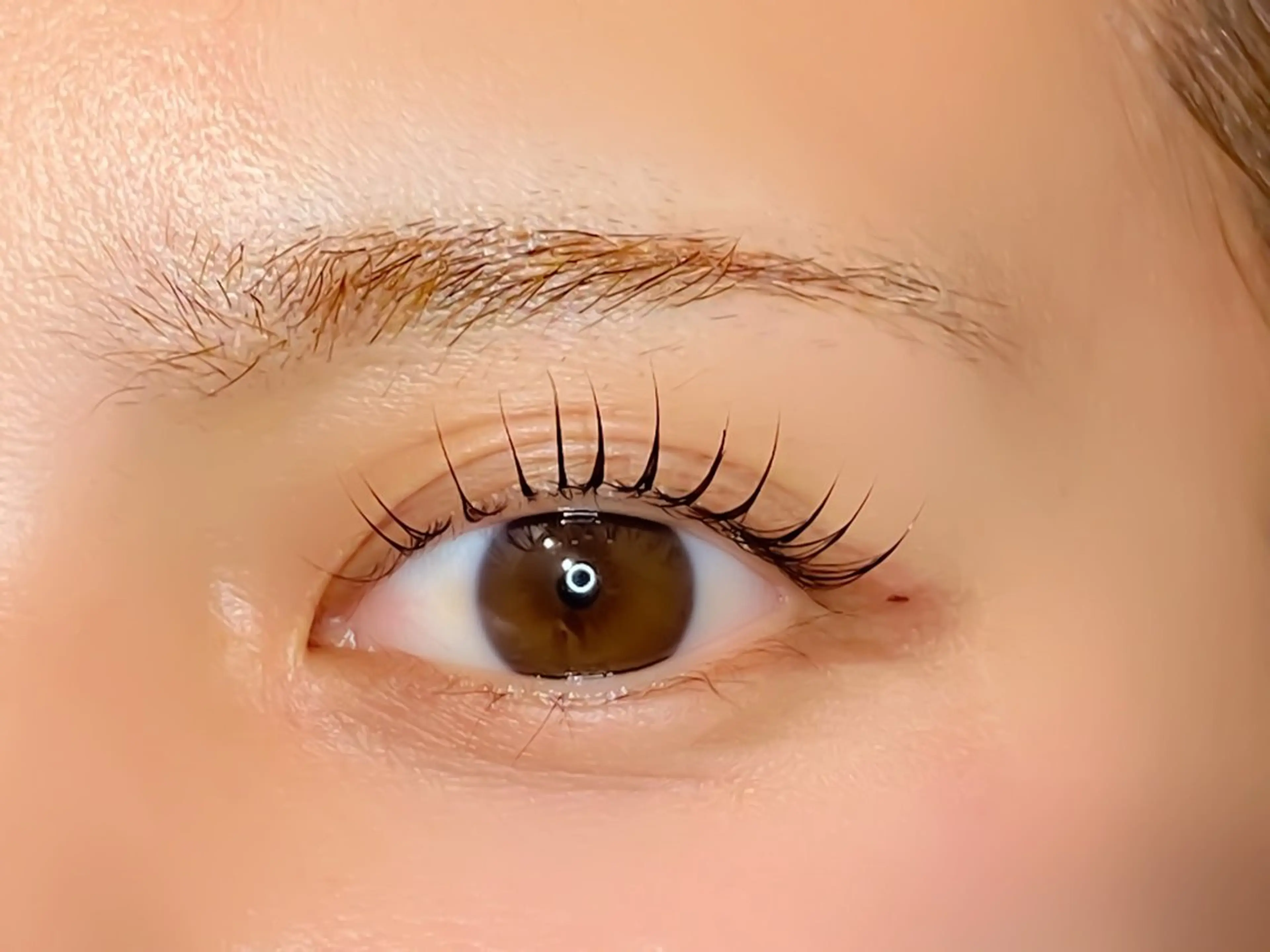 マツエク・マツパ マツパ ミニモ公認/ ｱｲﾘｽﾄ葵.のマツエク・マツパデザイン