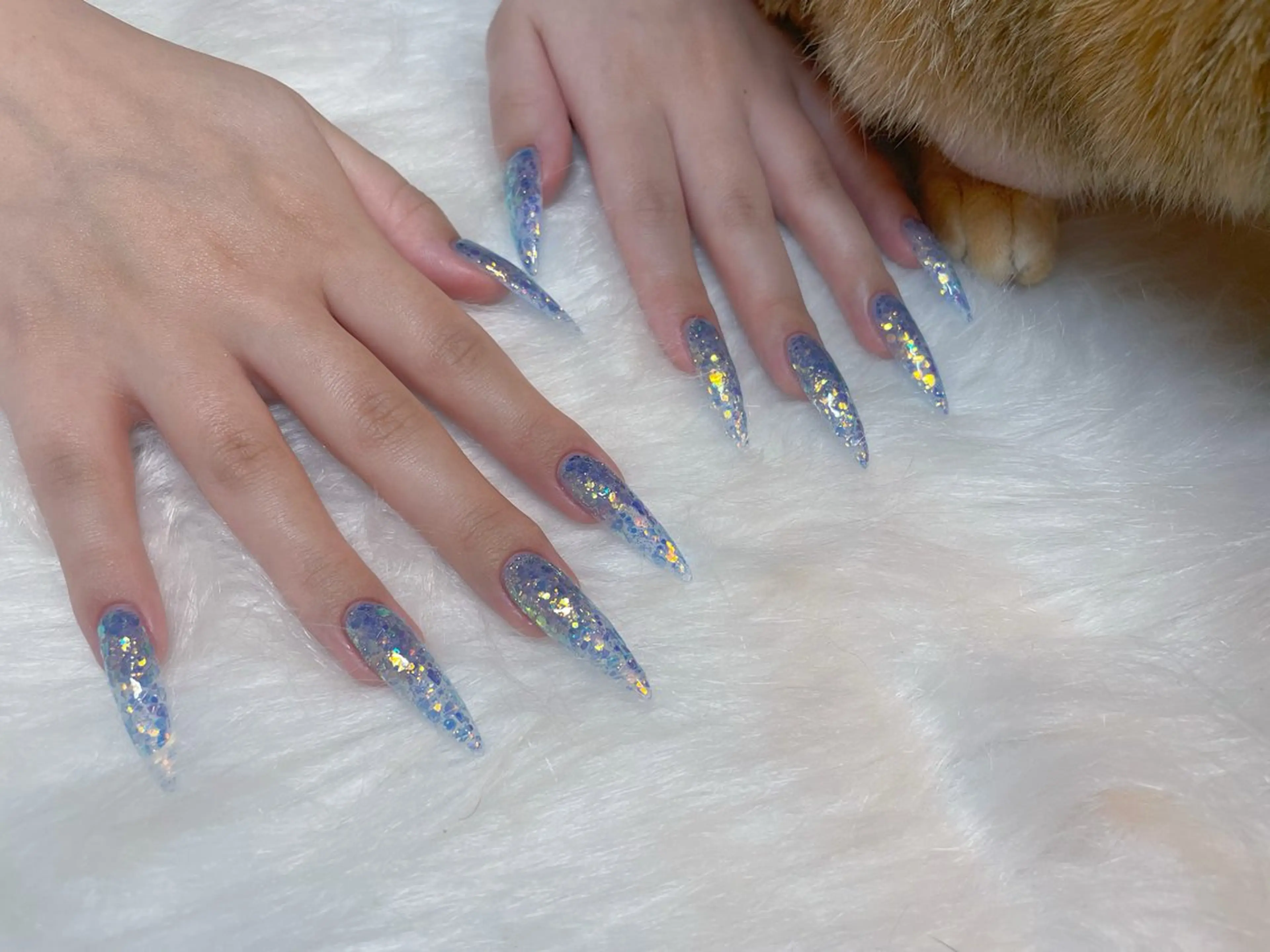 ネイル ホログラムネイル ハンドネイル エン Nail salonのネイルデザイン