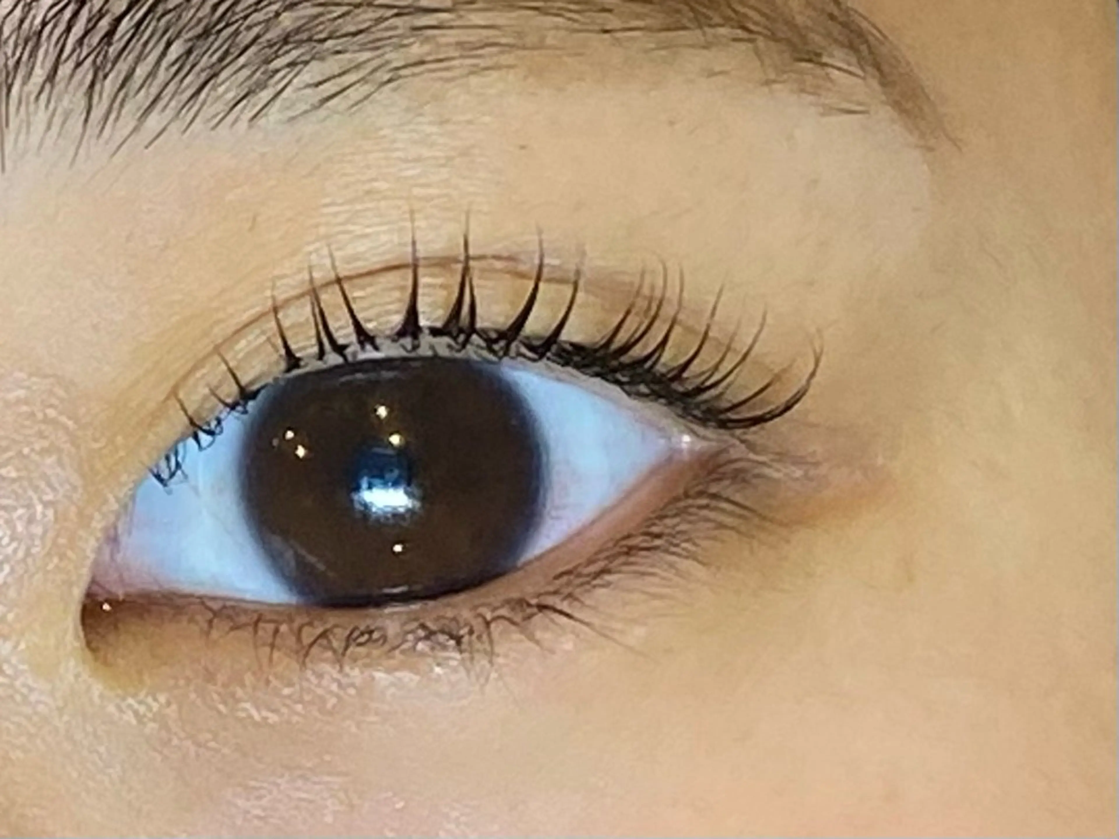 マツエク・マツパ まつげパーマ Daisy lash 京橋店堀井のマツエク・マツパデザイン