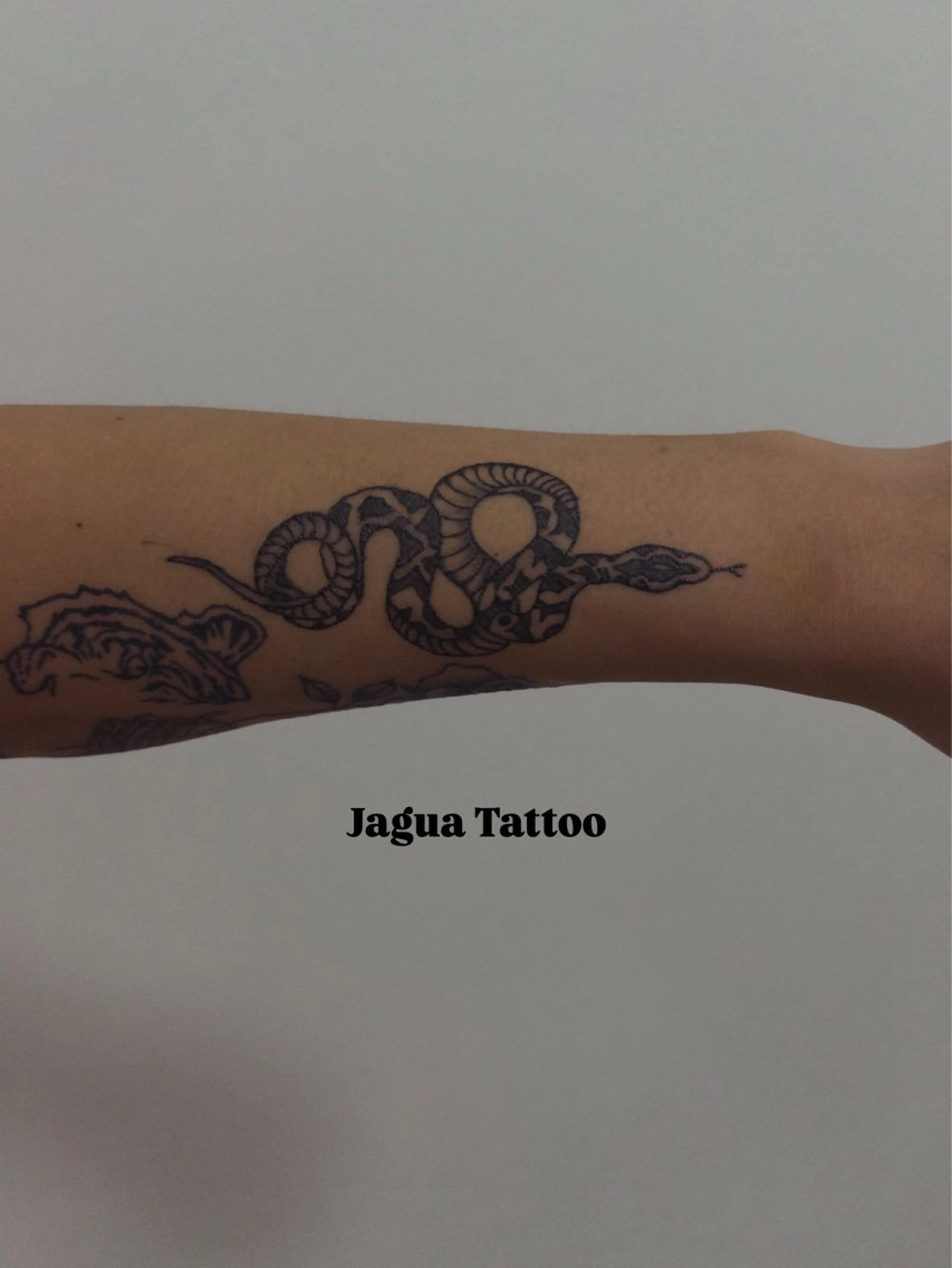 ジャグアタトゥー/ L  size(7cm​〜​8cm)🦋の写真