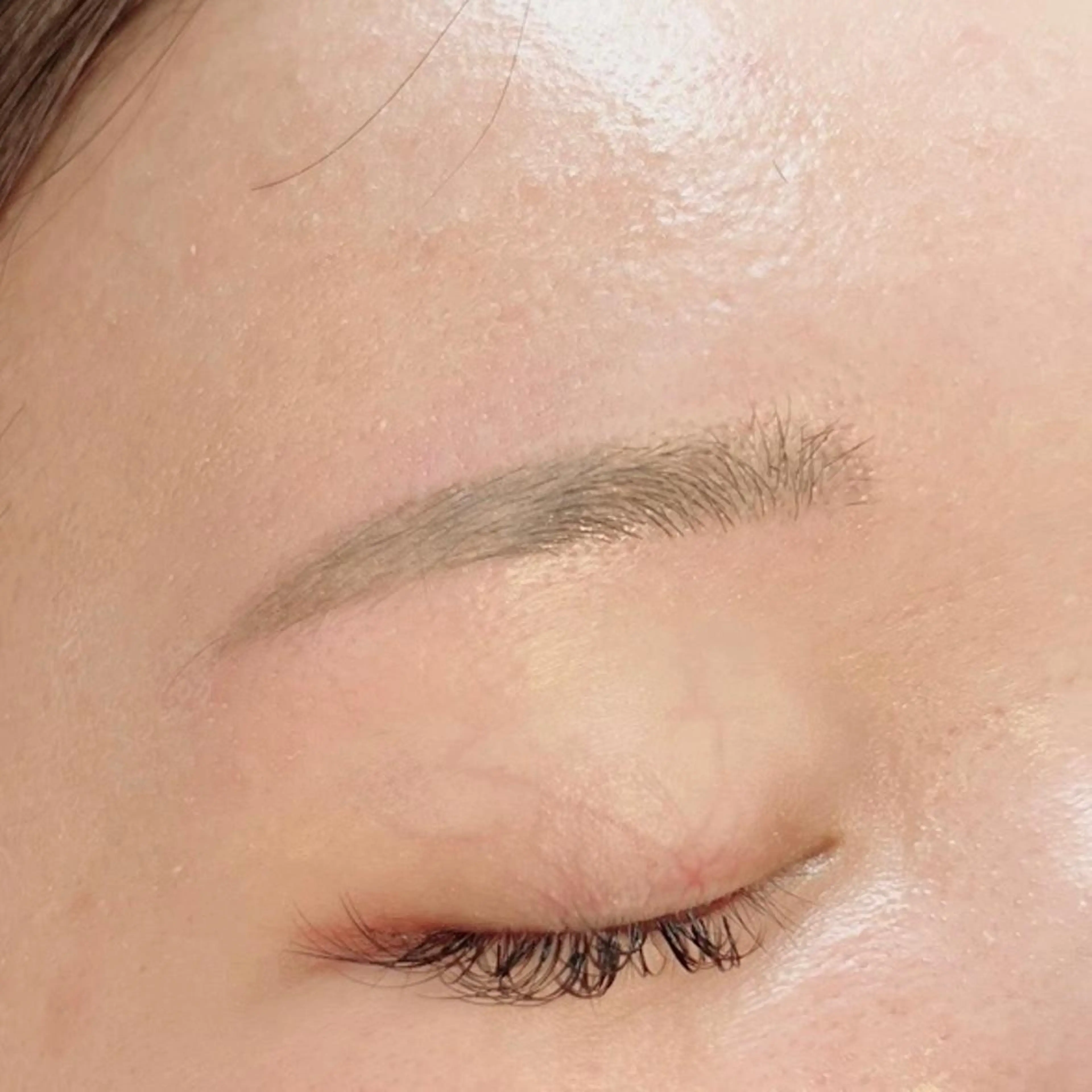 🦖アイブロウwax【間引きあり🤲🏻´-】※10分前来店必須ですの写真